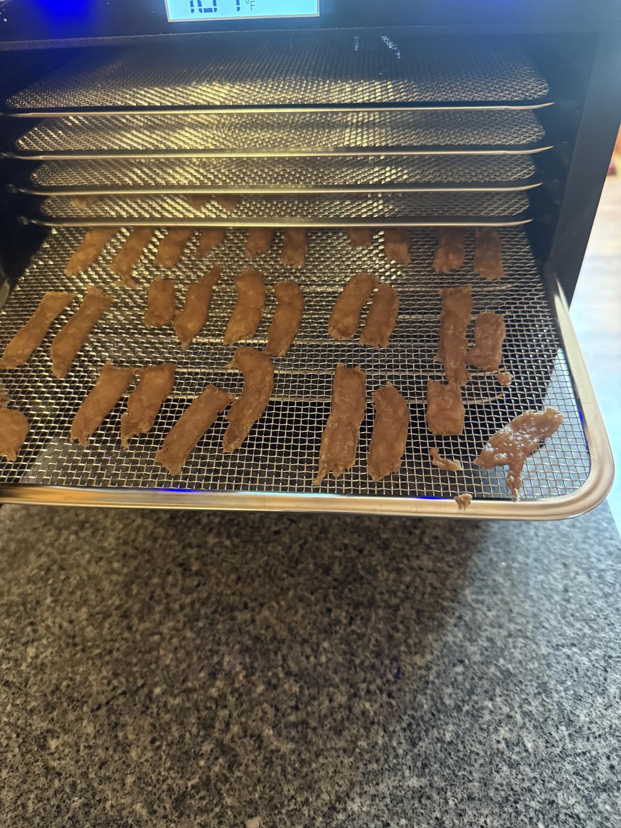 Magic Mill Premium Food Dehydrator Machine (10 Extra-Large Stainless Steel Trays) 700W Dryer for Beef Jerky, Fruits, Vegetables, Dog Treats, 48 Hour Digital Timer - 95°-167° Temperature Control customer photo 2