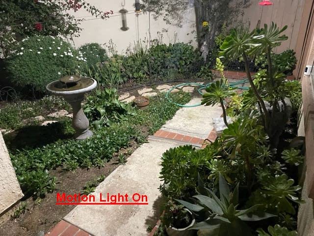 LEPOWER Solar LED Security Lights, PIR Motion Sensor Outdoor, 1600LM, Yard | 5500K Daylight, 72FT180° Motion Sensor Flood Light, 3 Adjustable Head, Easy Install, IP65 Waterproof for Porch, Patio, Garage customer photo 1