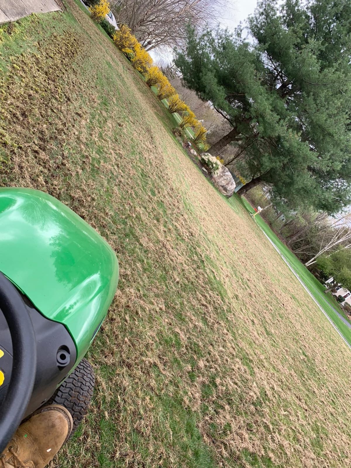 CRAFTSMAN (CMXGZBF7124315), 40-Inch Tow Behind Lawn Dethatcher, 20 Durable Spring Steel Tines Lawn dethatcher, Designed to Pull Behind Lawn and Garden Tractors, Black customer photo 1