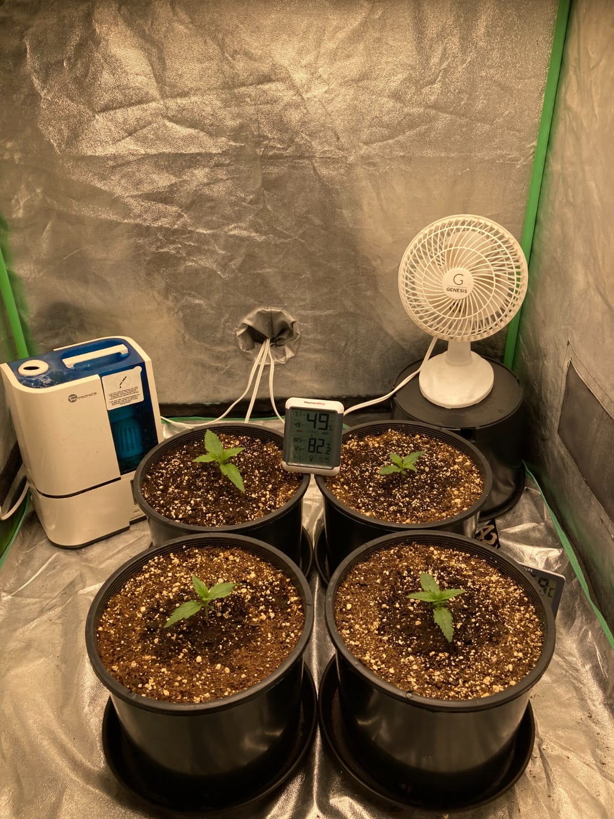 MARS HYDRO 150W TS1000 LED Grow Light for Indoor Plants Full Spectrum | Patented Reflective Hood, Dimmable & Silent Fanless, Daisy-Chain Link, Uniform Light for 2x2/3x3 Grow Tent, Veg to Bloom customer photo 1
