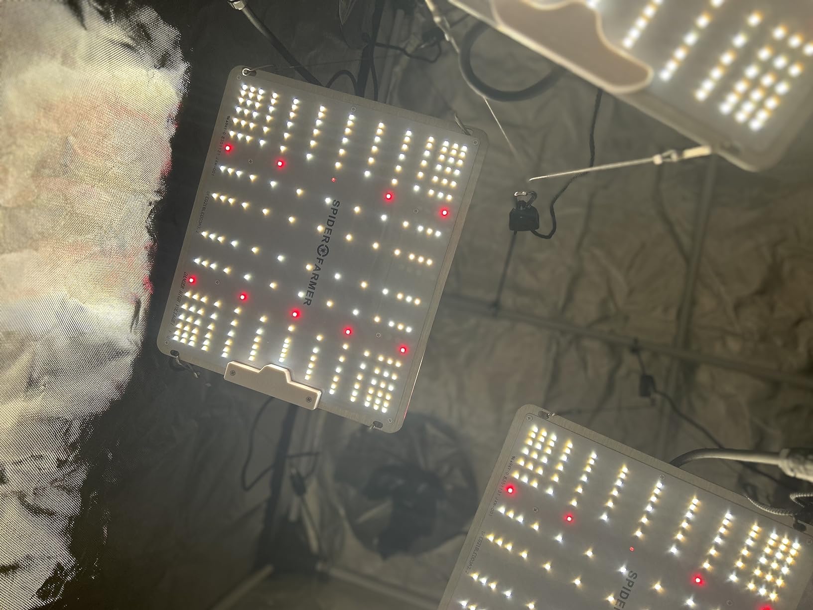 Spider Farmer SF1000 LED Grow Lights for Indoor Plants in 2x2/3x3 Grow Tent | 100W Dimmable Full Spectrum Grow Light, New-Gen High-Efficiency Diodes 2.5 PPE System for Seed Starting, Vegetables & Bloom customer photo 1