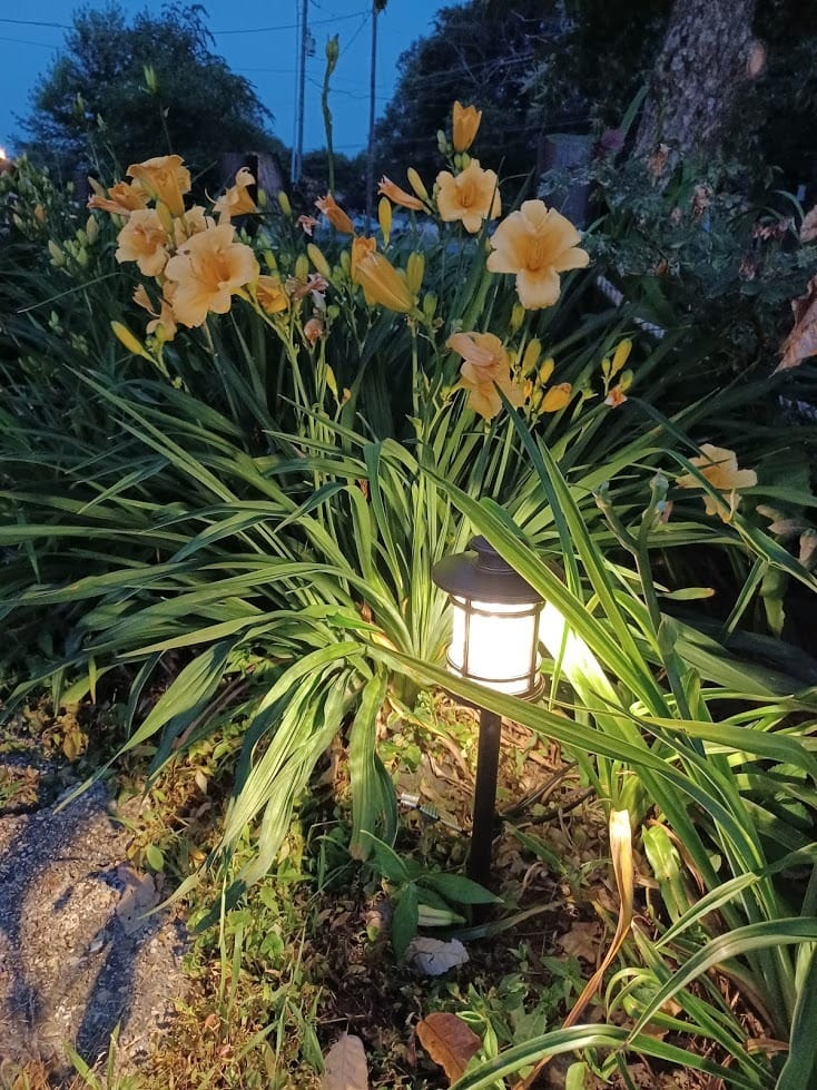hykolity Low Voltage LED Landscape Kits, 12V-15V Pathway Flood Light Kits | 10W 390LM and 3.4W 155LM Wired for Outdoor Yard Lawn, Die-cast Aluminum, 50W and 30W Equivalent, 8 Pack customer photo 1