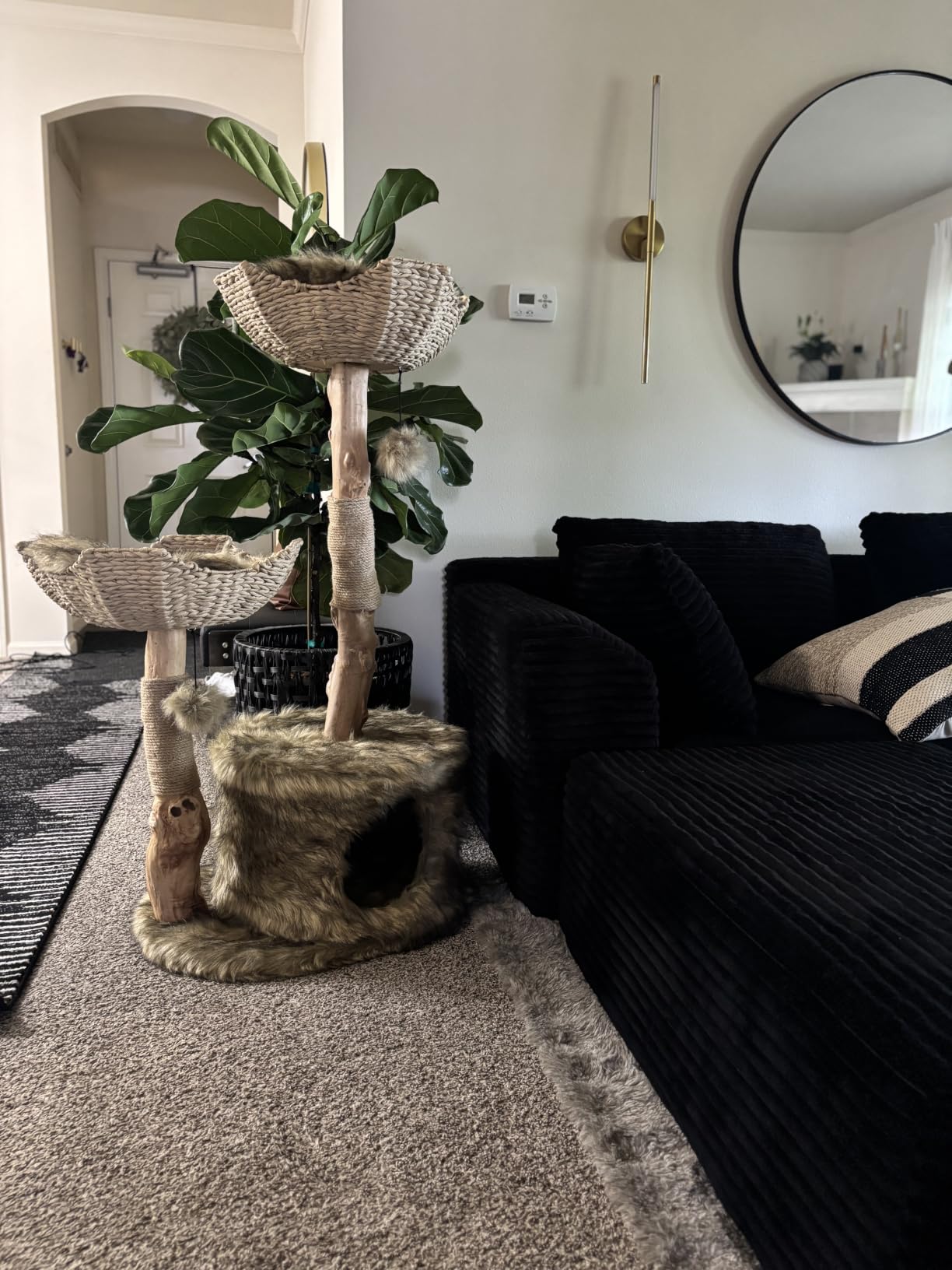 Mau - Modern Cat Tree Tower, Real Branch Wood Condo for Large Cats | Replaceable Parts, Scratching Post, Holds Big Cats up to 23 lb, Luxury Aesthetic Indoor Cat Furniture customer photo 1