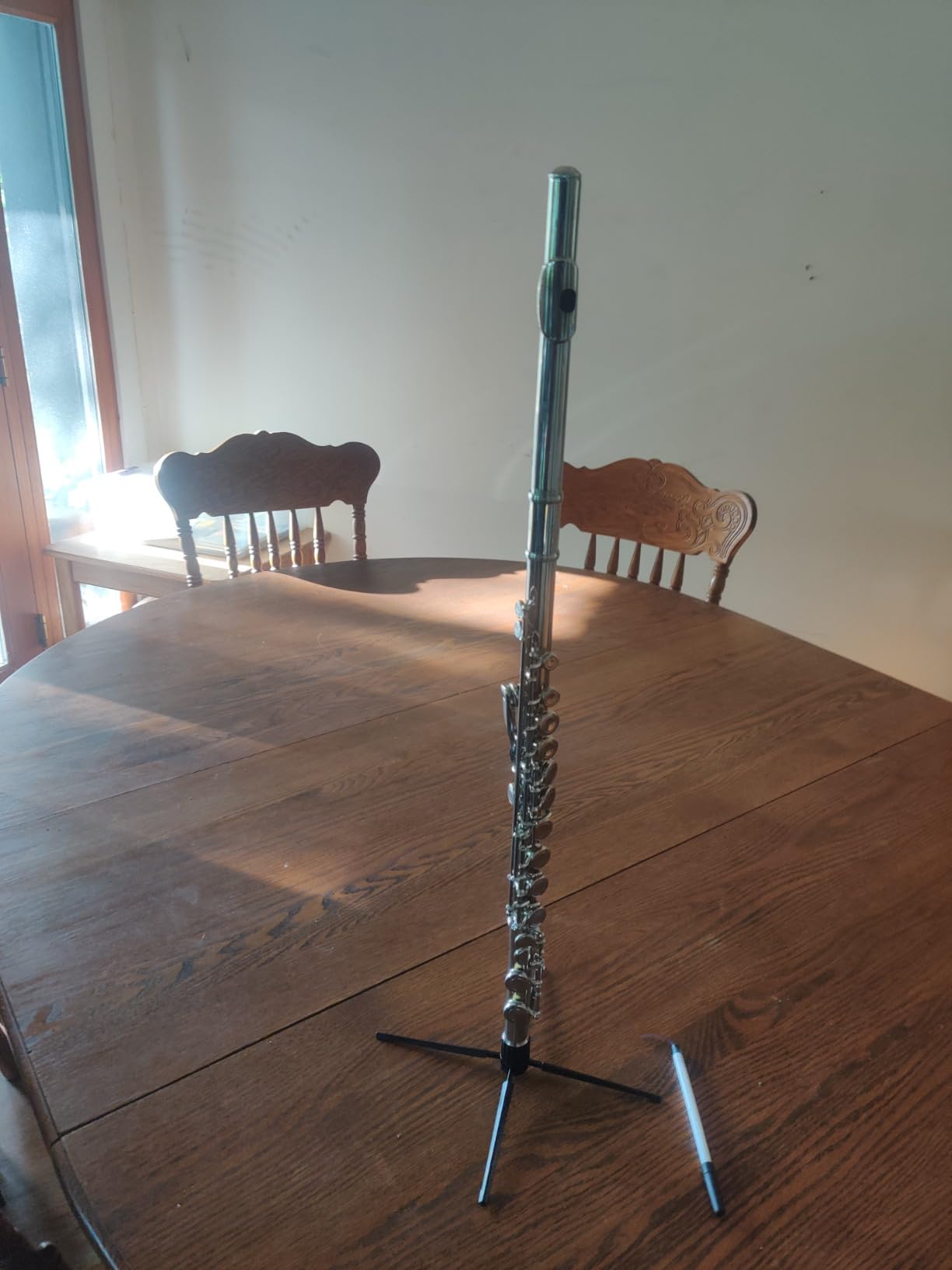Cecilio Open Hole C Flute - Musical Instrument, Beginner/Intermediate Flute in Band & Orchestra, Silver customer photo 2