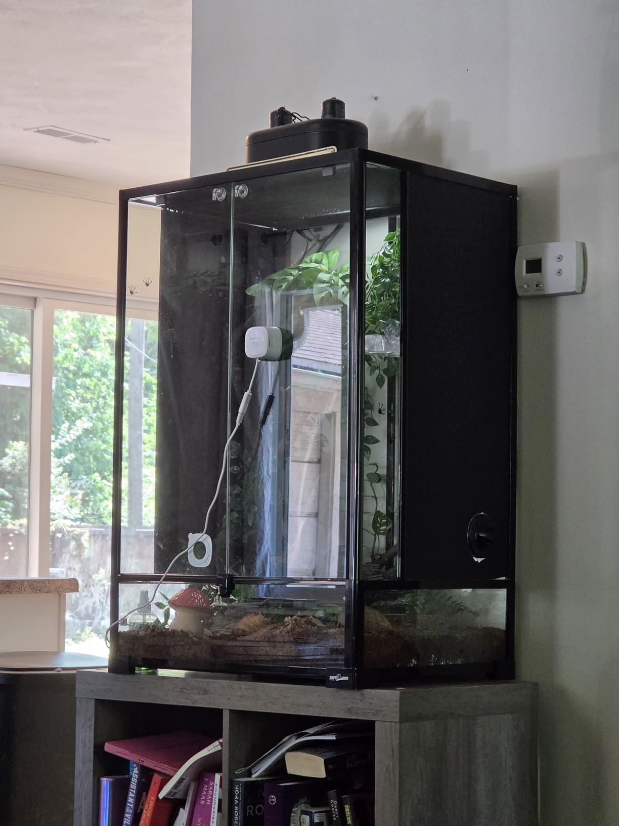 REPTI ZOO 67 Gallon Tall Glass Terrarium, 24