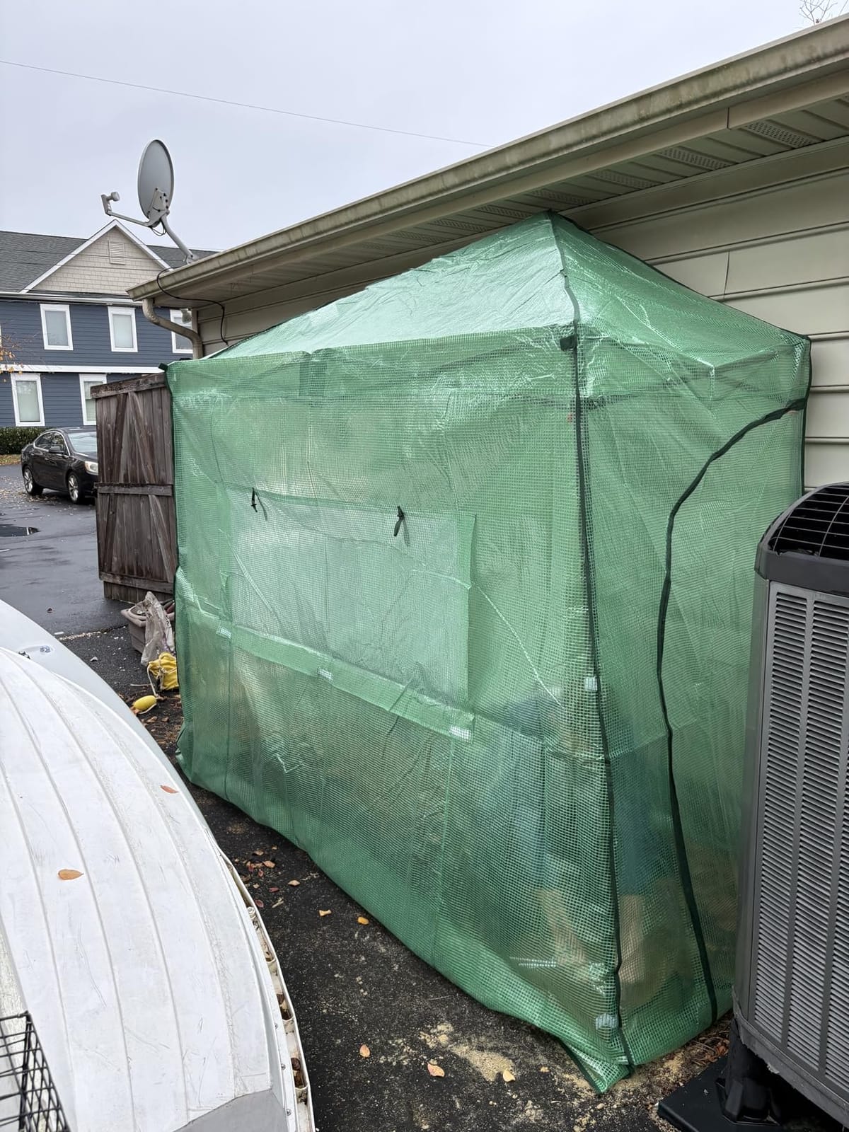 EAGLE PEAK 8x6 Easy Setup Pop Up Greenhouse, Clear/Green | Walk-In Greenhouses for Outdoors, Green House for Winter Protection, Roll-Up Doors & Mesh Windows, One Person Setup customer photo 2