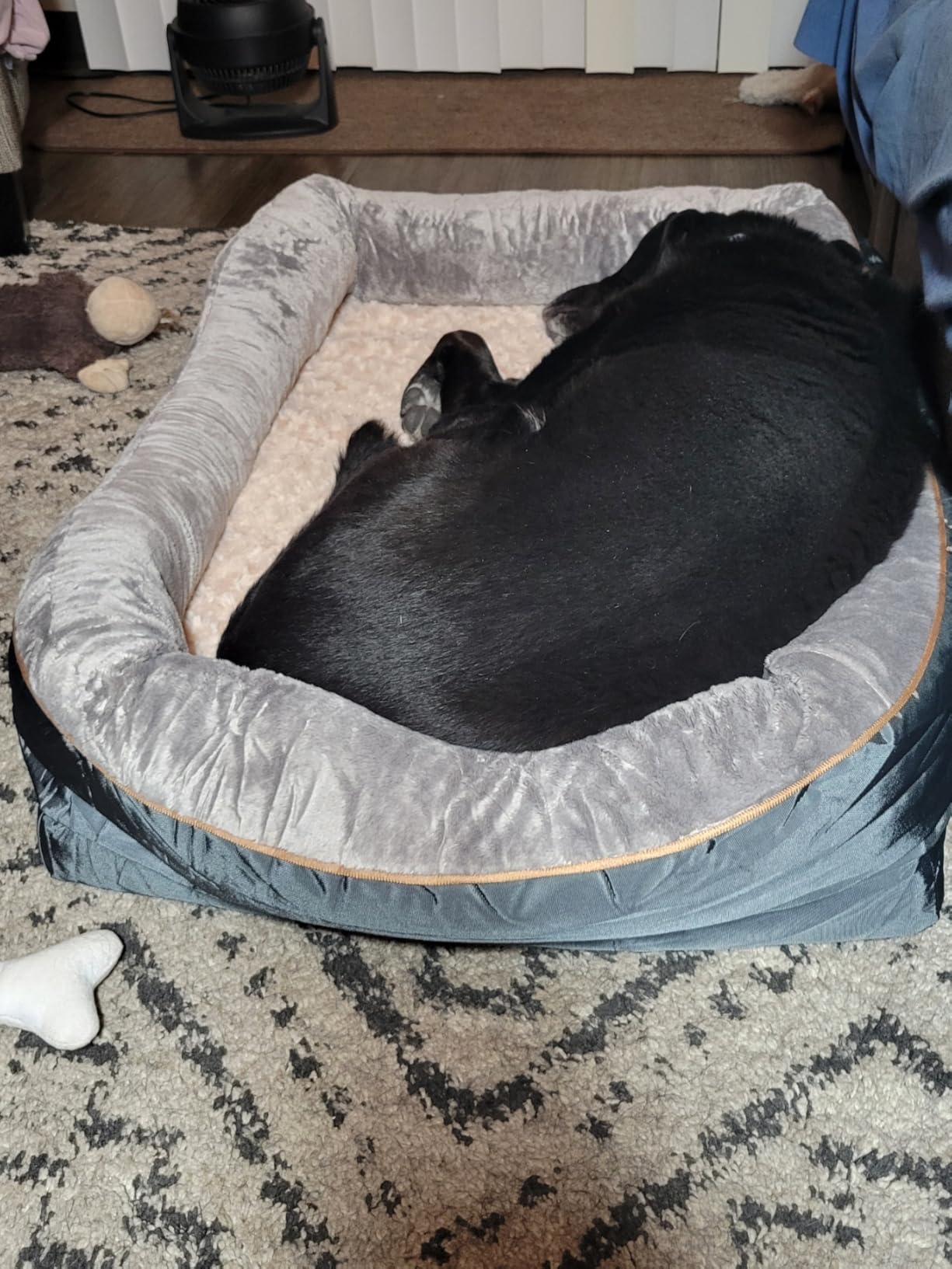 JOYELF XLarge Memory Foam Dog Bed, Orthopedic Dog Bed & Sofa with Removable Washable Cover and Squeaker Toy as Gift customer photo 1
