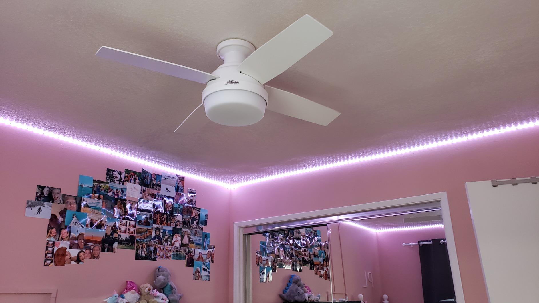 Hunter Dempsey, Indoor, Ceiling Fan, Modern, 52 inch, Brushed Nickel | with LED Light and Remote Control, Low Profile Mount, 4 Light Gray Oak Blades, For Bedroom, Living Room, Kitchen, 50283 customer photo 1