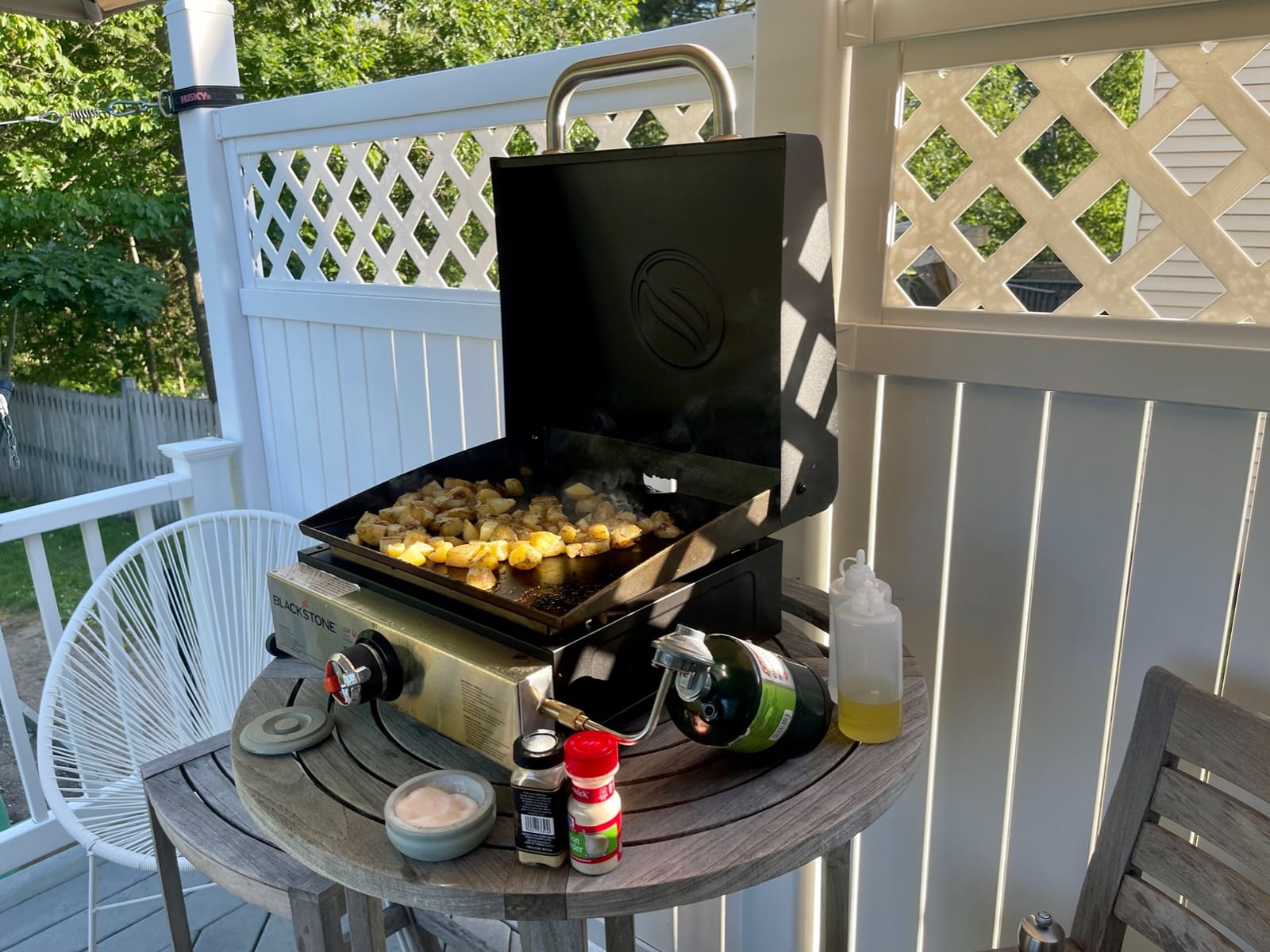 Blackstone 1814 Propane Gas Griddle, 17 Inch, Stainless Steel Portable Flat Top customer photo 1