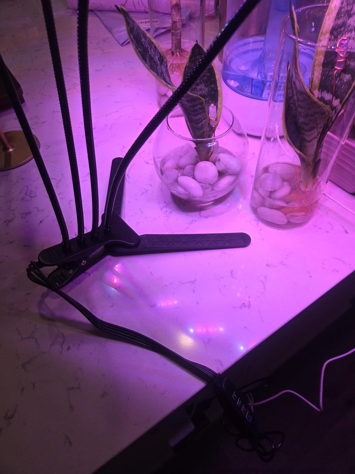 LEOTER Grow Light for Indoor Plants - Upgraded Version 80 LED Lamps with Full Spectrum & Red Blue Spectrum, 3/9/12H Timer, 10 Dimmable Level, Adjustable Gooseneck,3 Switch Modes customer photo 2