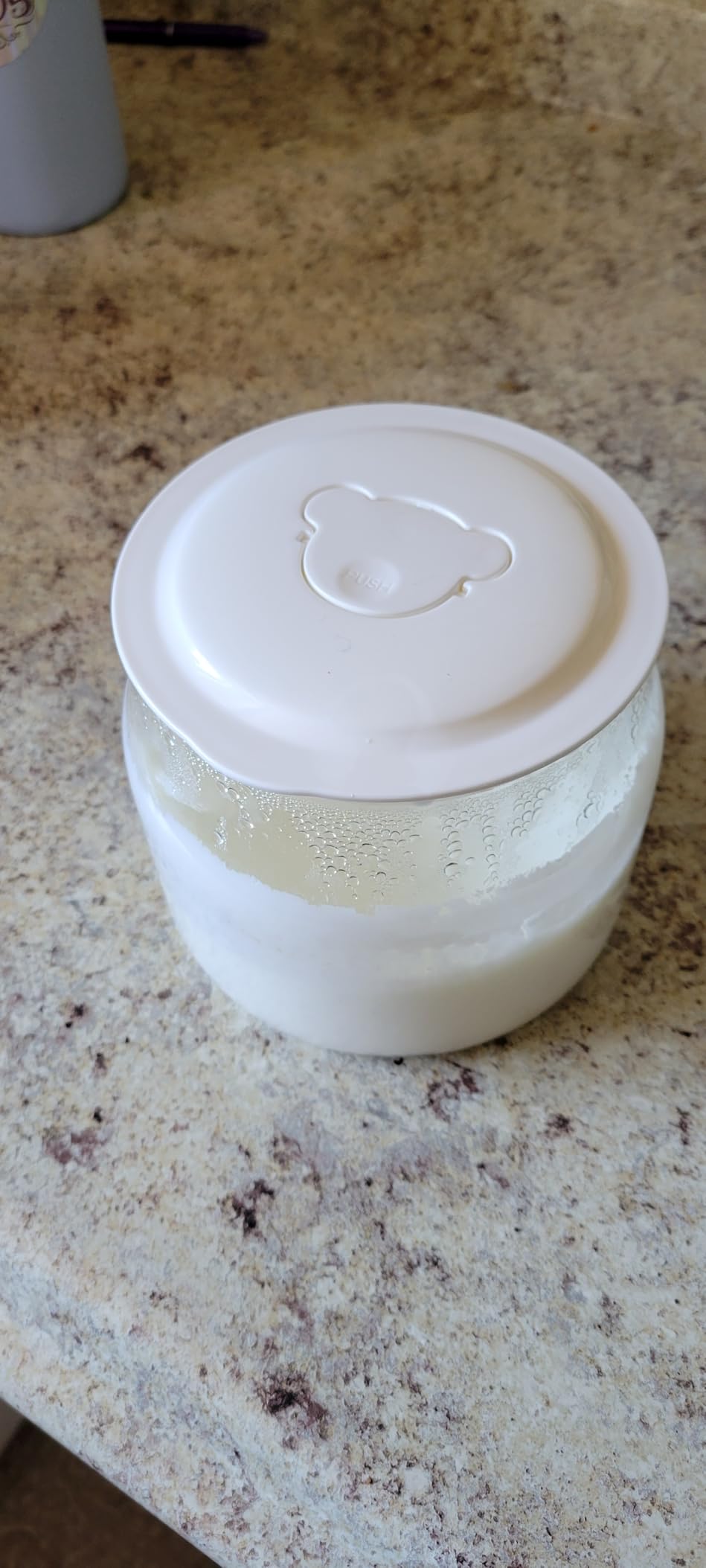 Bear Yogurt Maker, Greek Yogurt Maker Machine with Strainer&Timer Control | Stainless Steel Inner Pot, Automatic Digital with 2 Glass Jars 1 Quart for Home Organic Yogurt, Cheese, Fruit Wine customer photo 2
