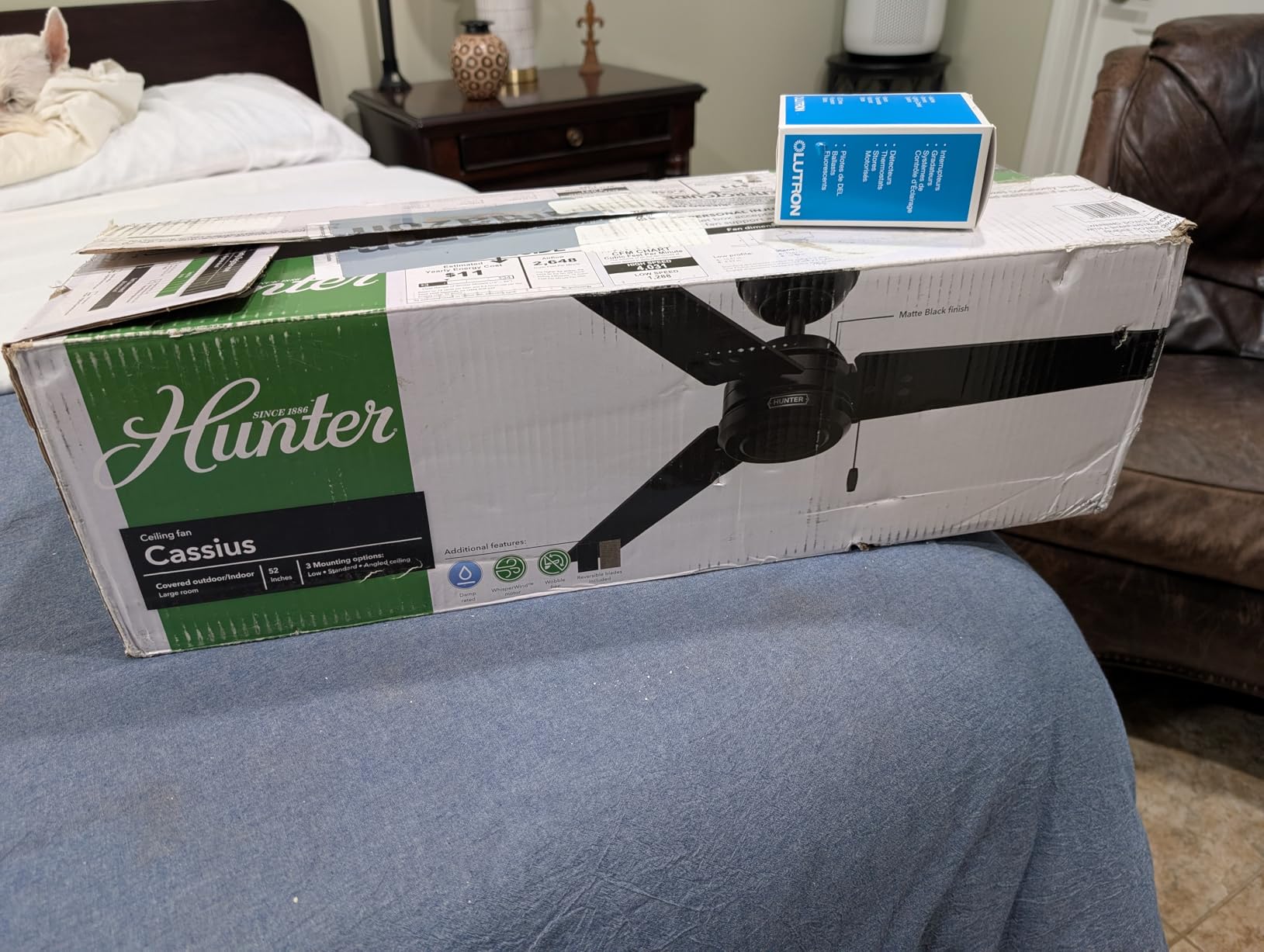 Hunter Cassius, Outdoor or Indoor, Ceiling Fan, 44 inch, Matte Black customer photo 1