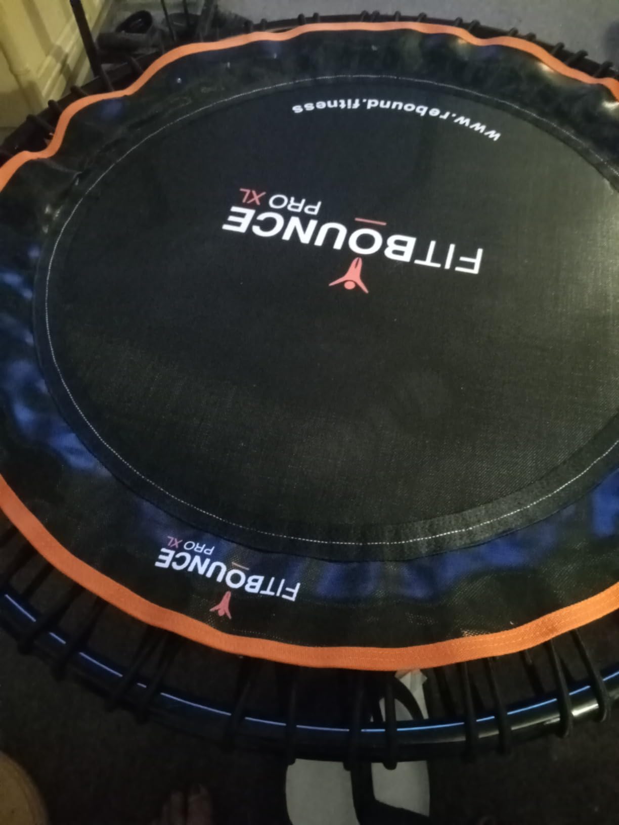 MXL FIT Bounce PRO XL Bungee Rebounder - Premium Indoor Mini Trampoline for Adults, Silent Low-Impact Bounce, Half-Folding with Foldable Steel Legs & Carry Bag - 48 in, 400lb customer photo 1