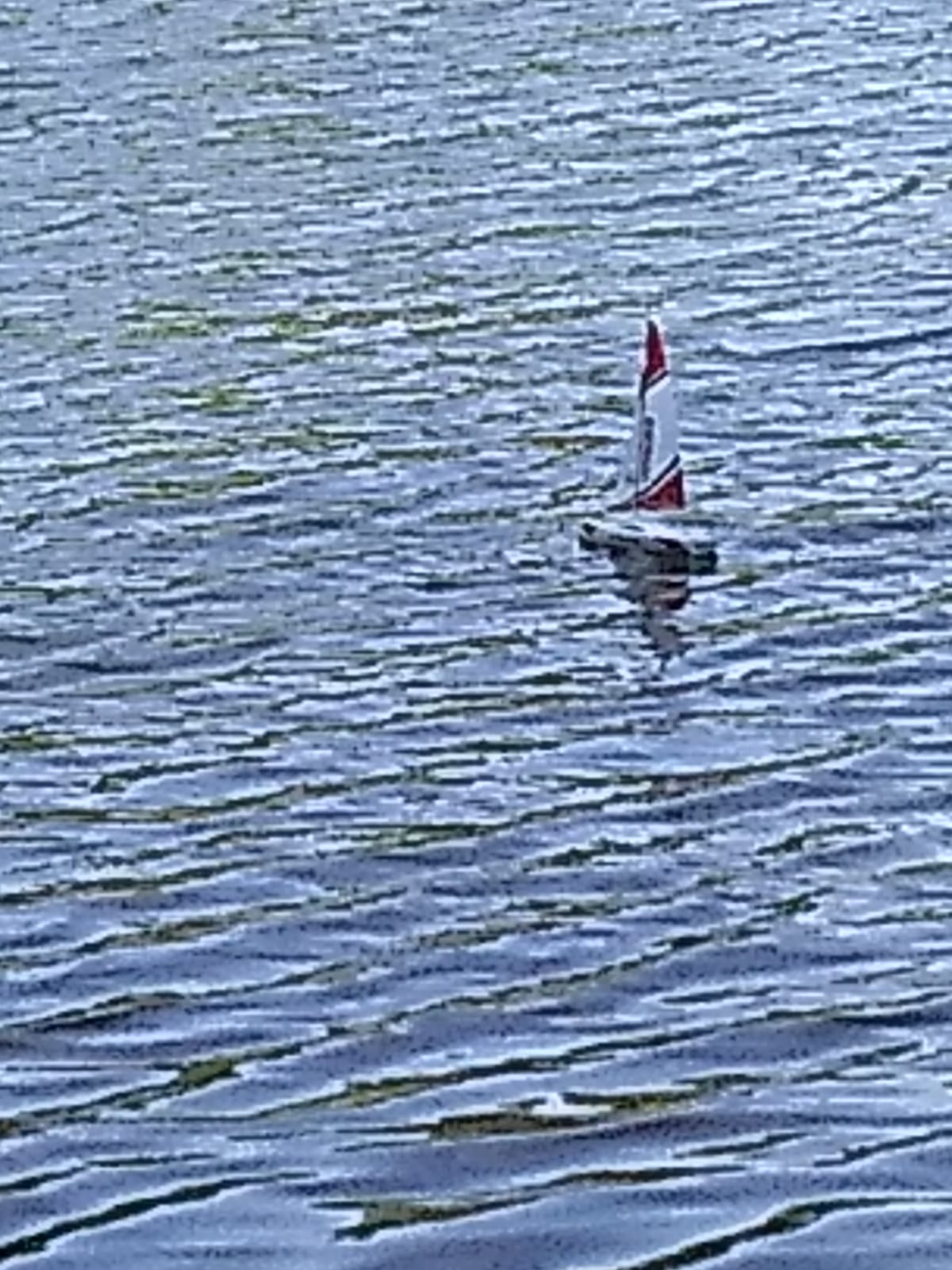 Voyager 280 RC Controlled Wind Powered Sailboat in Red - 17.5