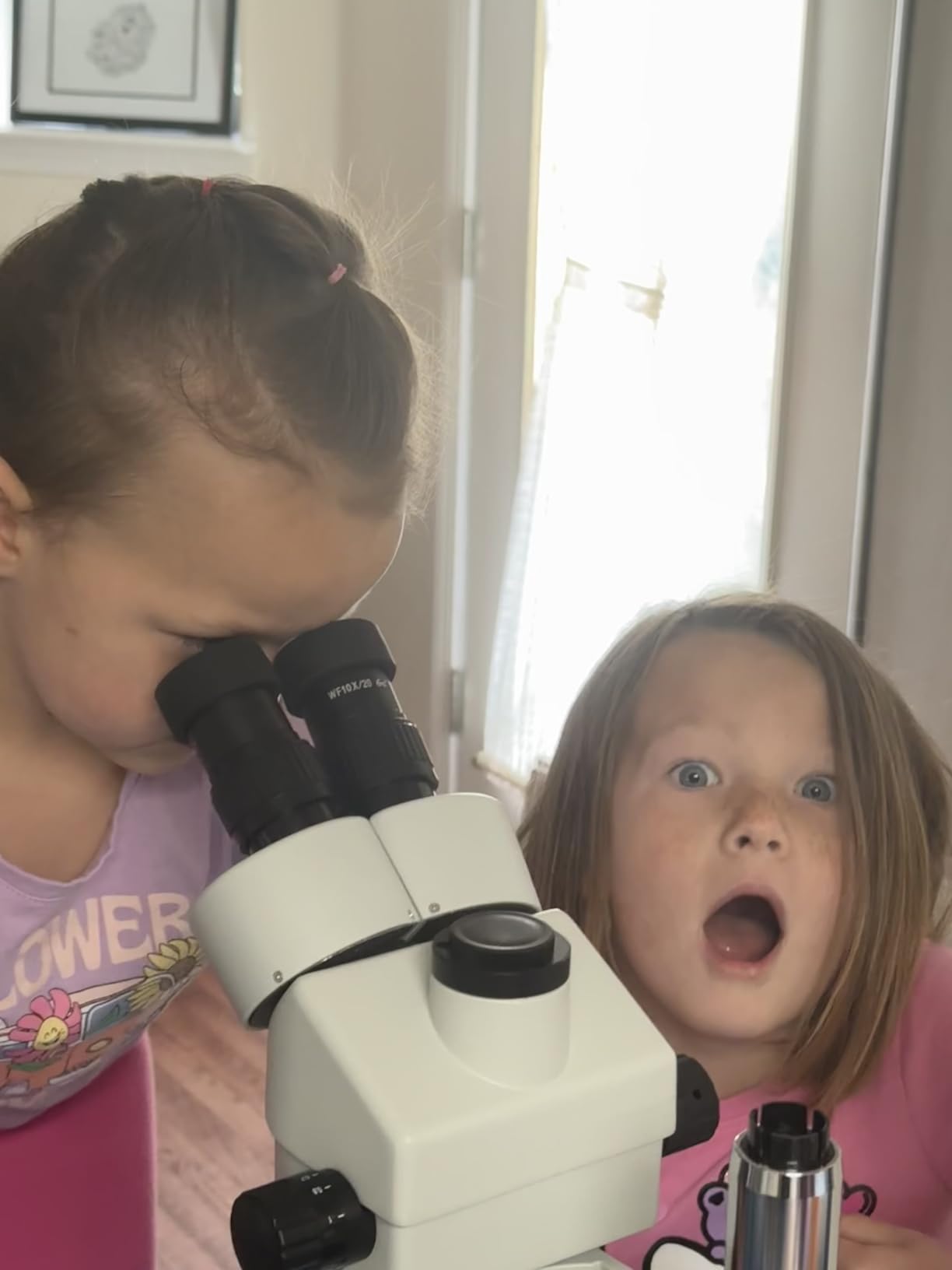 SWIFT Trinocular Stereo Zoom Microscope with 56-Bulb LED Ring Light, 3.5X-90X Magnification, WF10X Eyepieces, Table Pillar Stand customer photo 1