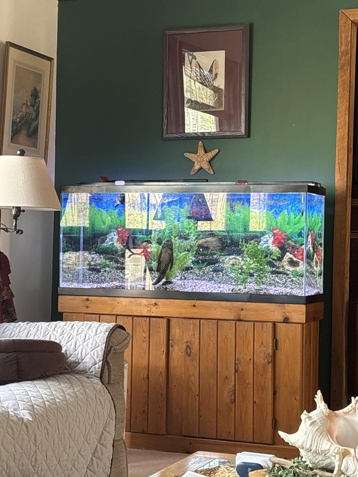 Tetra 5.5 Gallon Glass Aquarium, Rectangular Fish Tank | 16