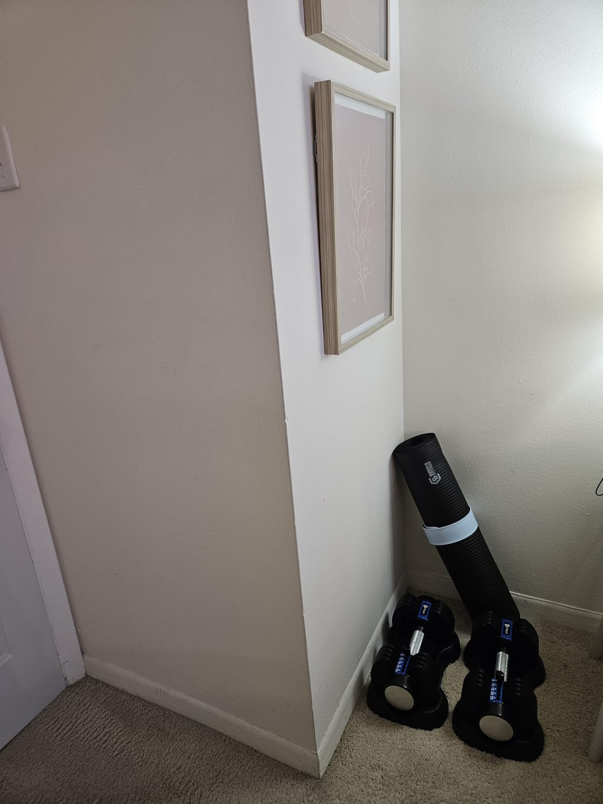 Lifepro Adjustable Dumbbells & Weights for Home Gym, Quick-Adjust customer photo 2