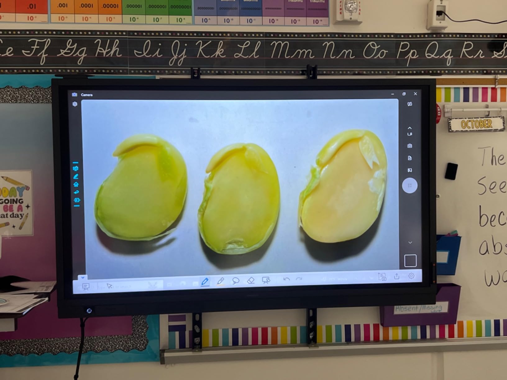 INSWAN INS-2 UHD 4K 13MP Document Camera, Built-in LED, Mic, A3 Capture customer photo 2