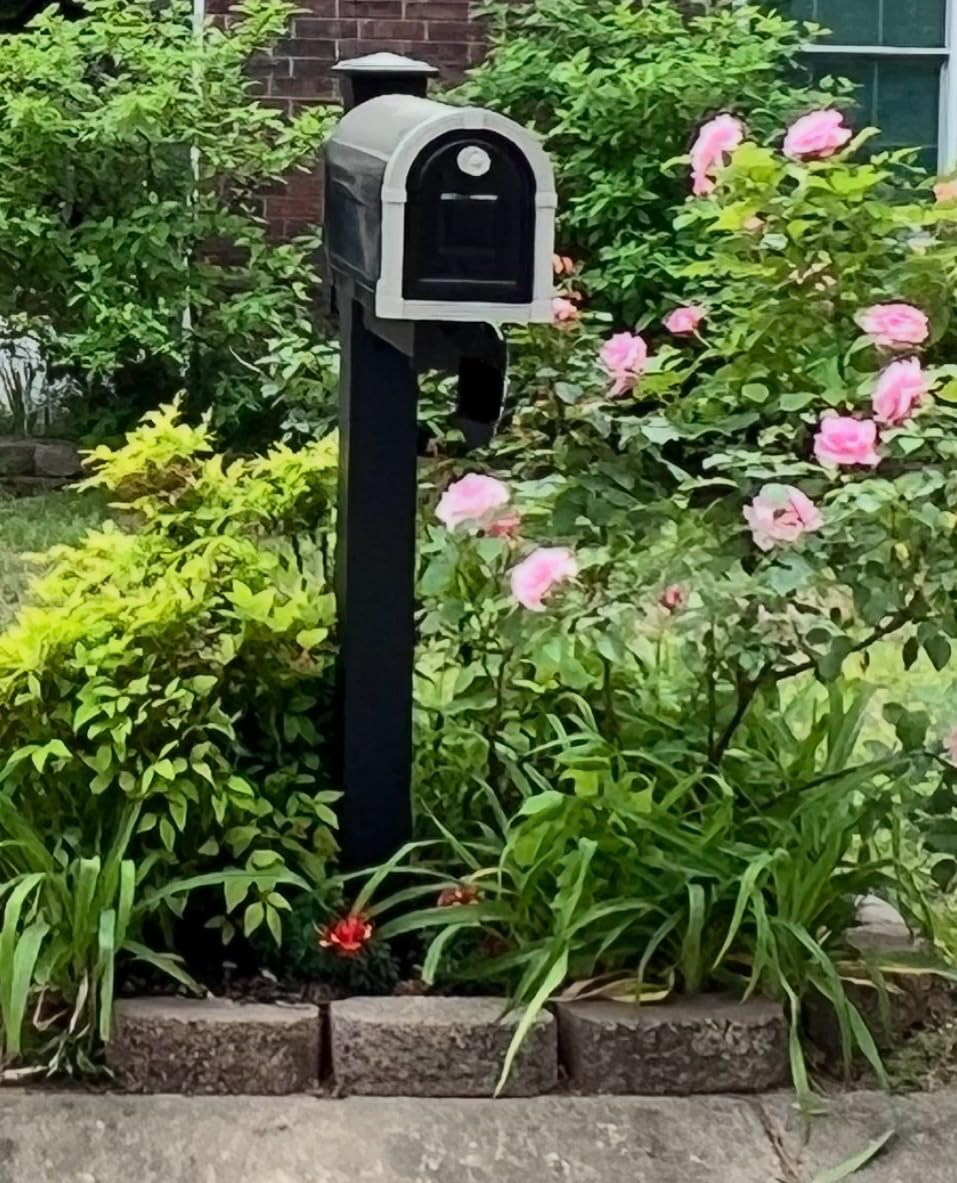 Brunswick Large, Steel, Post Mount Mailbox, Black with Brushed Nickel customer photo 1