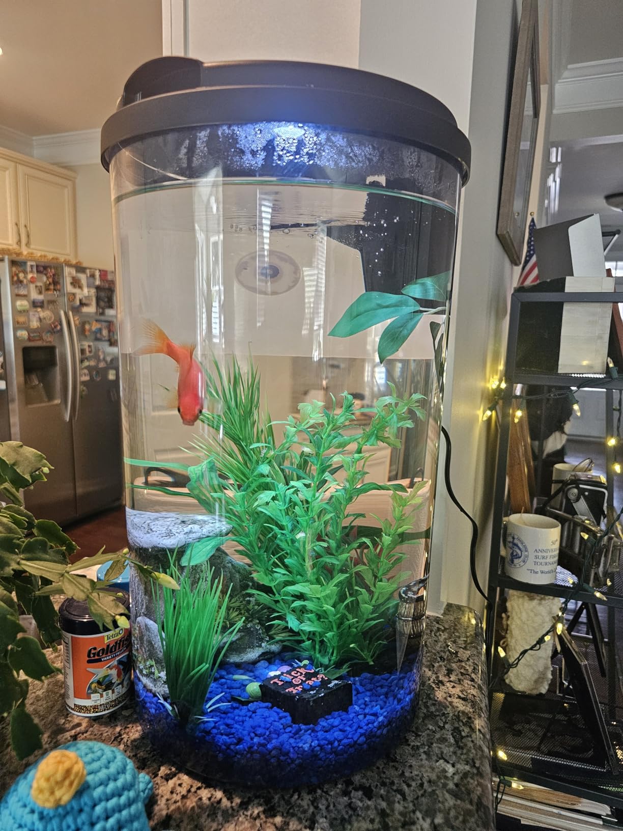 Koller Products Plastic 6-Gallon AquaView 360 Aquarium Kit for Tropical Fish and Betta Fish with LED Lighting and Power Filter, Clear customer photo 1