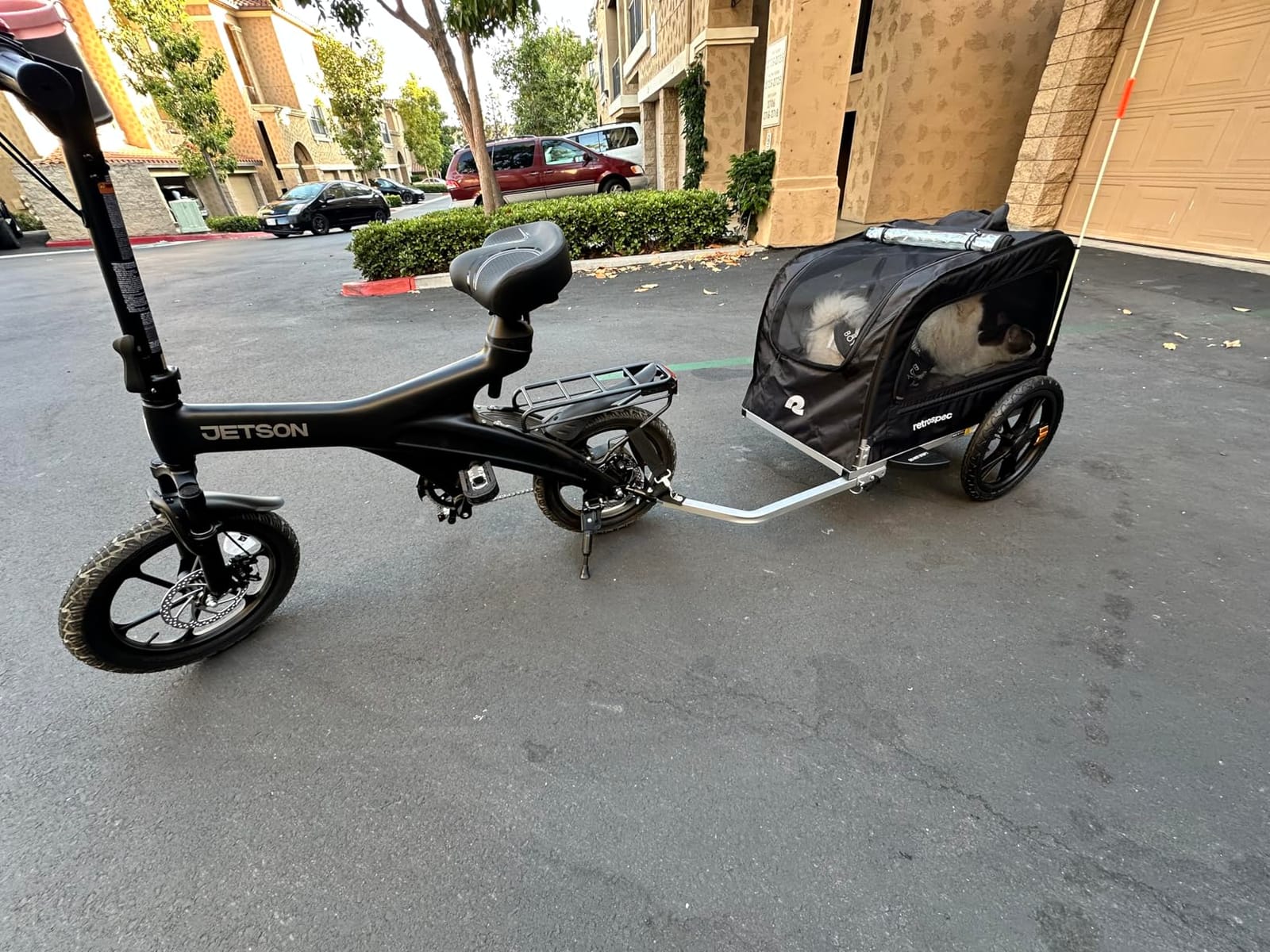 Retrospec Rover Waggin' Pet and Dog Bike Trailer with Weather-Resistant Canopy & Mesh Shield, Foldable Frame, 16in Wheels, Supports up to 50 lbs customer photo 2