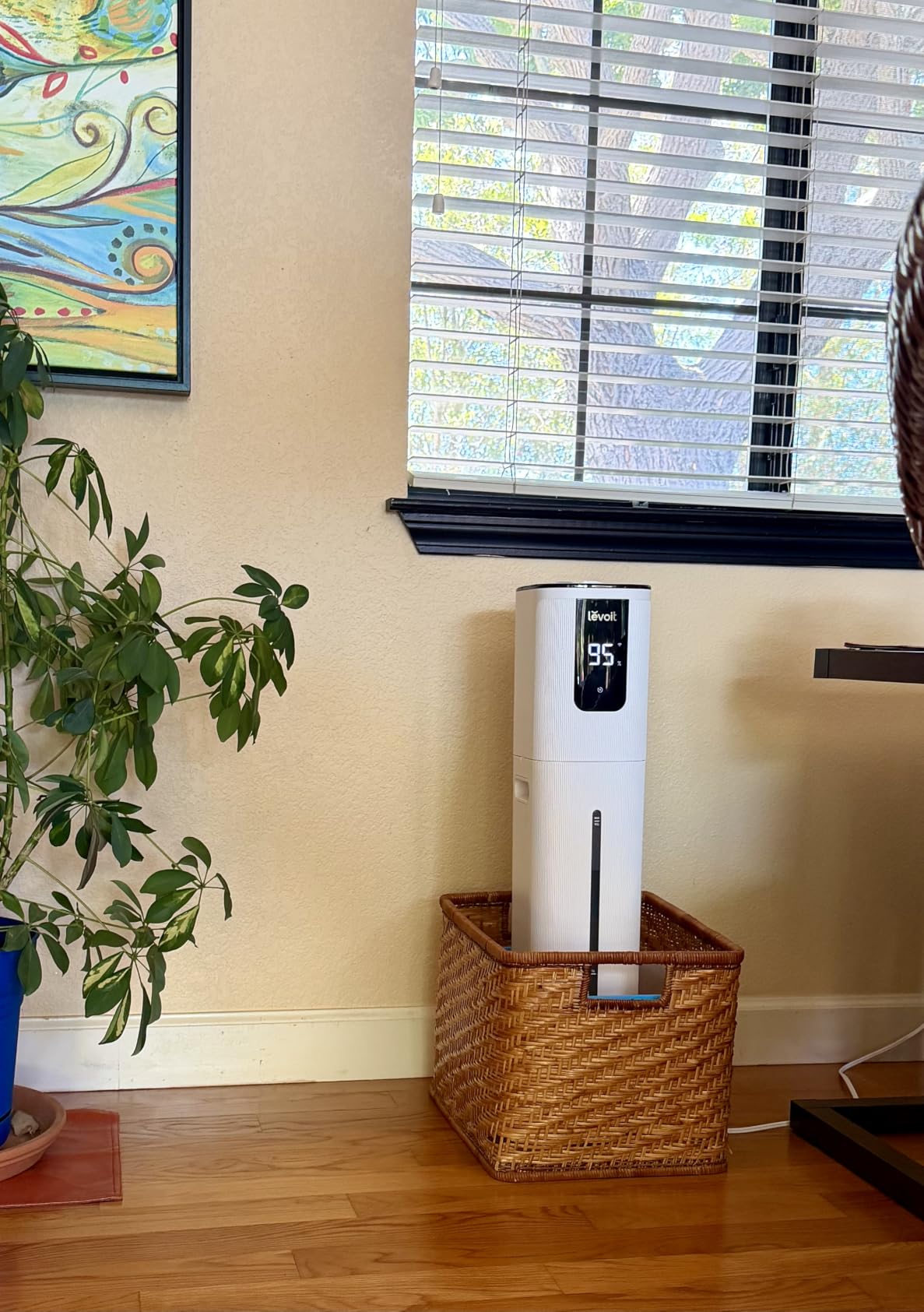 Levoit LV600S Smart Warm&Cool Mist Humidifiers for Home Bedroom Large Room, 6L 753ft² Coverage, Quickly & Evenly Humidify Whole House, Easy Top Fill, Smart Sensor, App & Voice Control, Quiet Sleep Mode customer photo 1