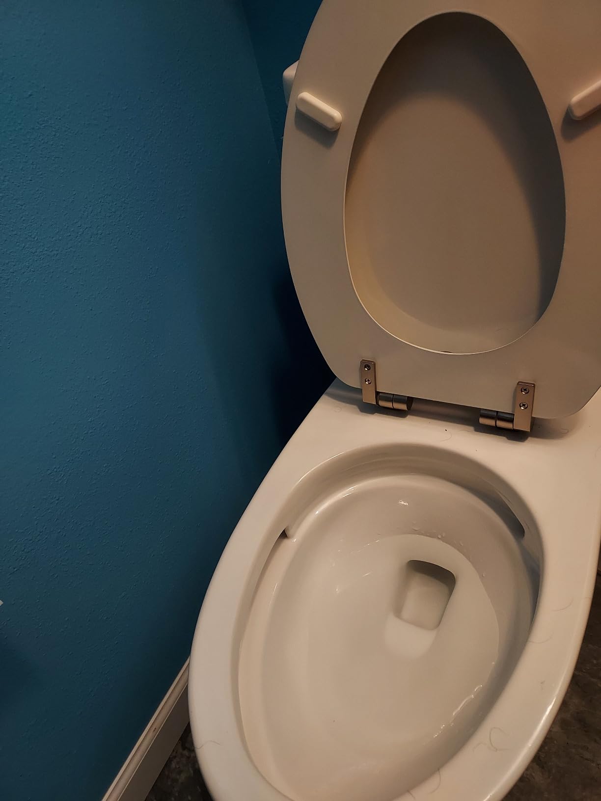 Drake Two-Piece Elongated 1.6 GPF Universal Height TORNADO FLUSH Toilet with CEFIONTECT, Cotton White - CST776CSFG#01 customer photo 1