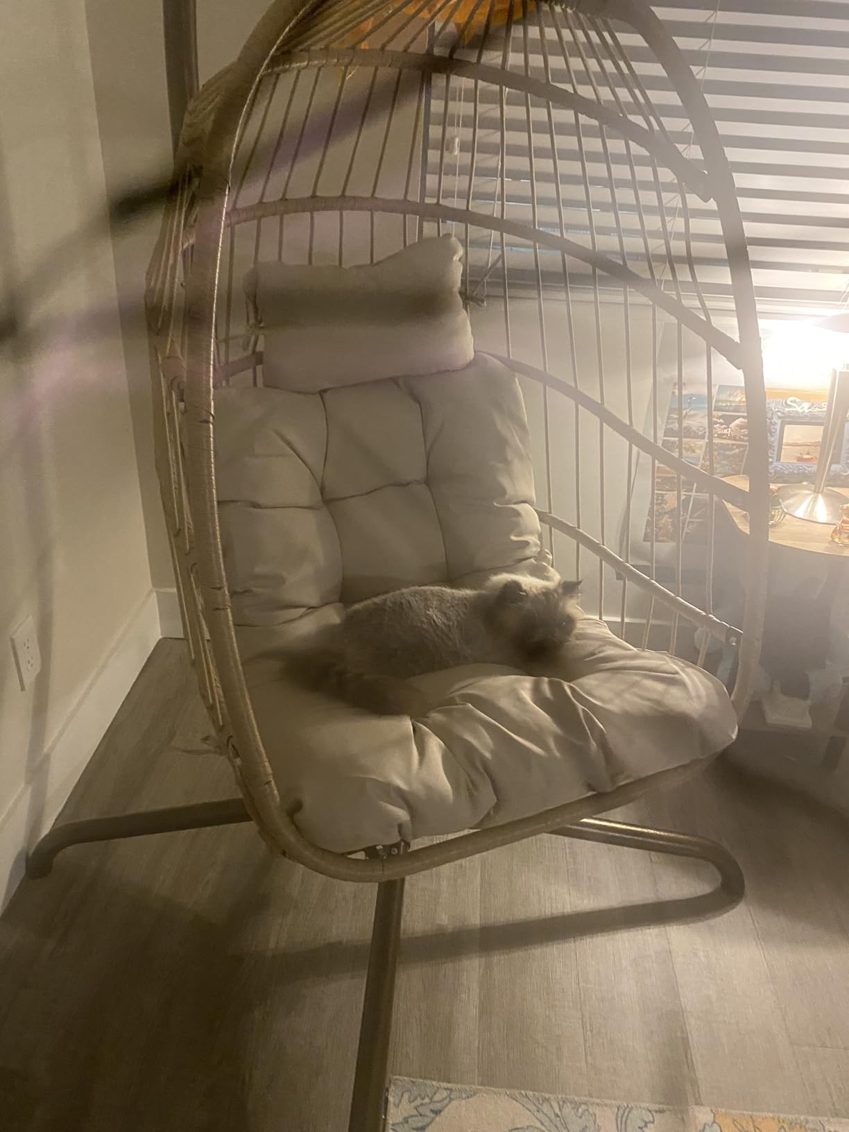 NICESOUL Hanging Egg Chair with Stand Indoor Outdoor, Comfy Patio Rattan Swing Hammock Chairs with Cushion, 350lbs Capacity Egg Shaped Chair for Lawn Backyard Balcony Bedroom, Birthday Gift, Beige customer photo 1