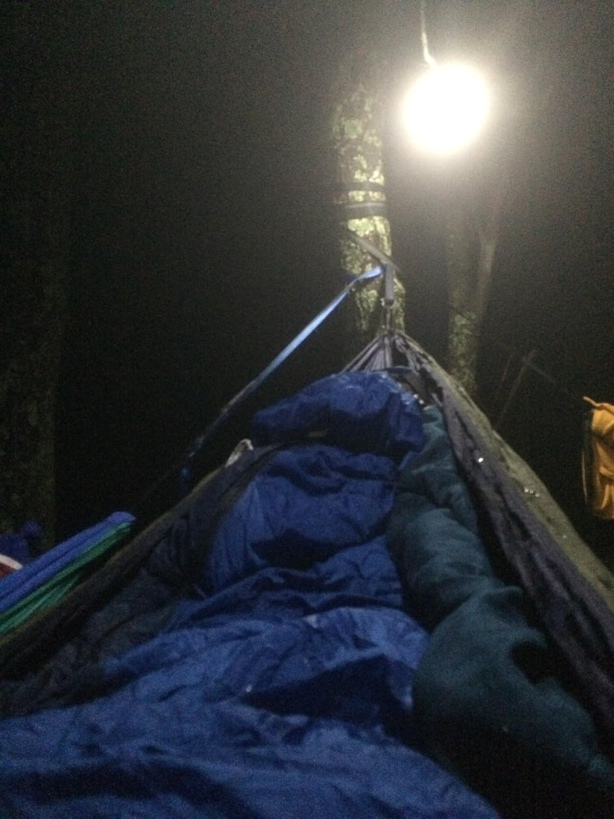 ENO, Eagles Nest Outfitters DoubleNest Lightweight Camping Hammock, 1 to 2 Person, Special Edition Colors, ATC customer photo 1