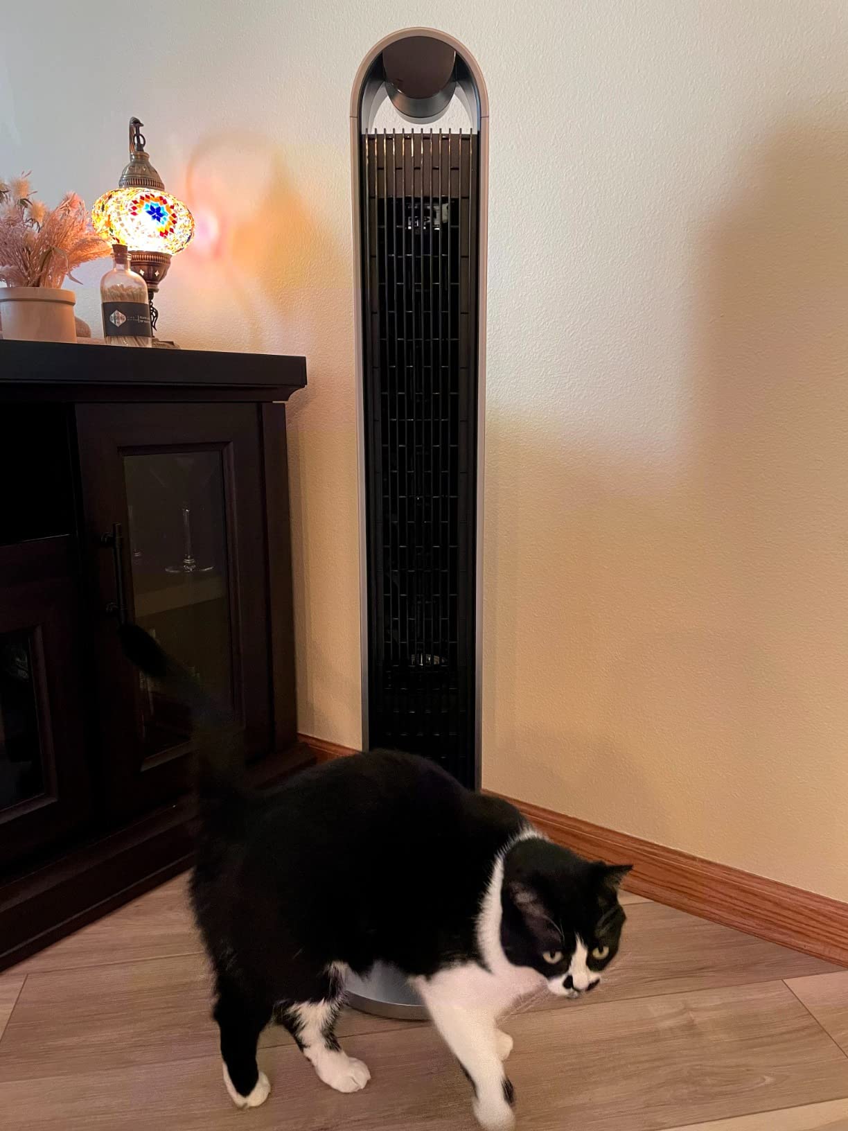 DREO Smart Tower Fan for Bedroom, 120° Oscillating Fan, 12 Speeds customer photo 2