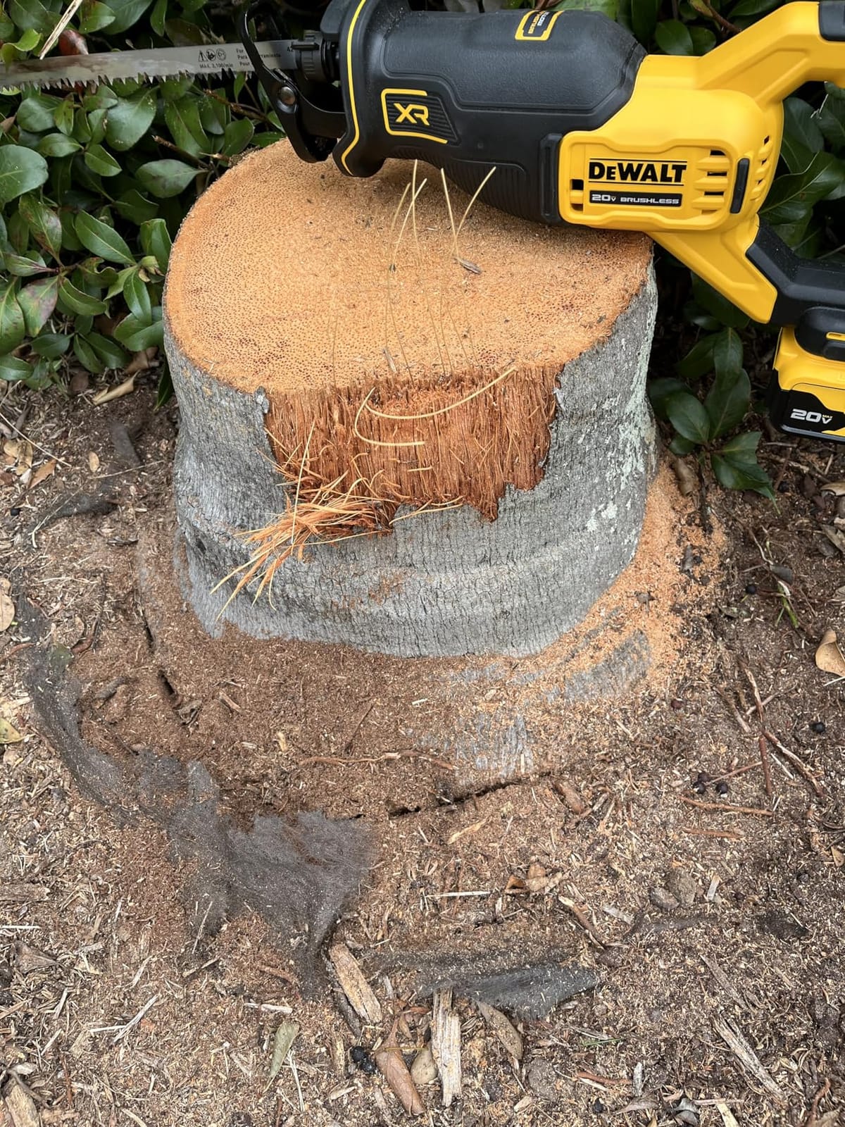DEWALT 20V MAX* Reciprocating Saw, Cordless, 2-Finger Variable Trigger, Keyless Blade Clamp, Tool Only (DCS382B) customer photo 2
