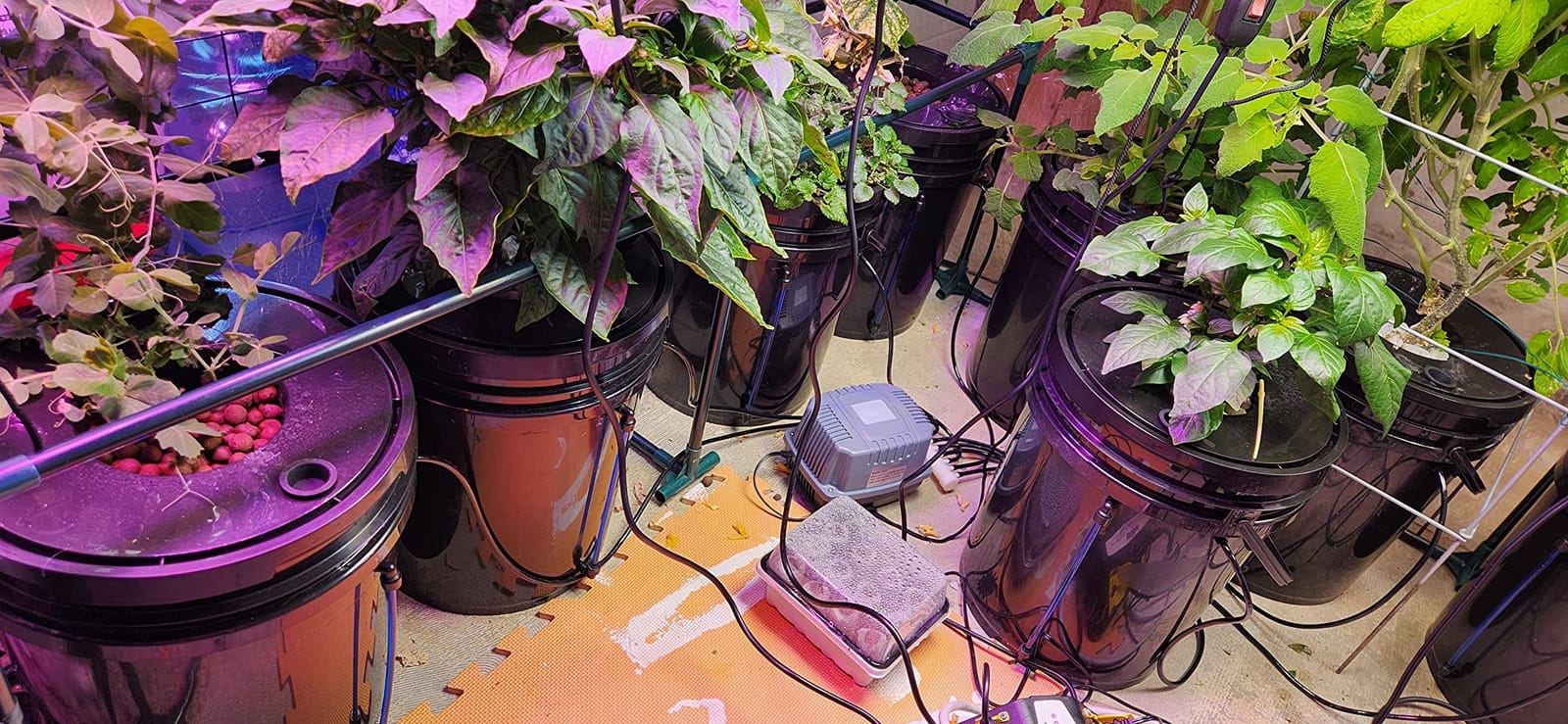 VEVOR DWC Hydroponic System, 5 Gallon 8 Buckets, Deep Water Culture Growing Bucket, Hydroponics Grow Kit with Pump, Air Stone and Water Level Device, for Indoor/Outdoor Leafy Vegetables customer photo 1