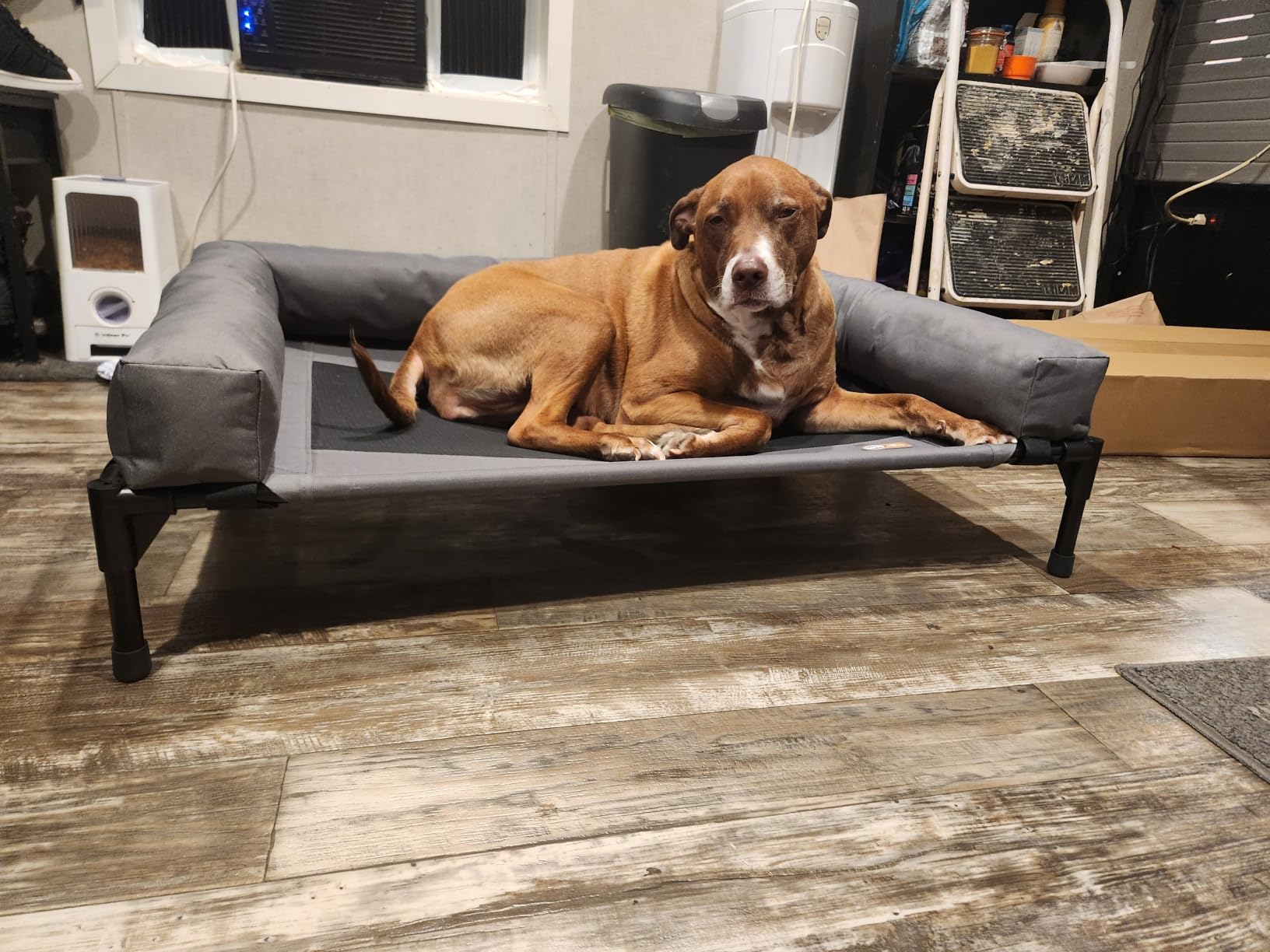 K&H Outdoor Elevated Dog Bed, Bolster Pet Cot, Medium 32x25in, Charcoal customer photo 2