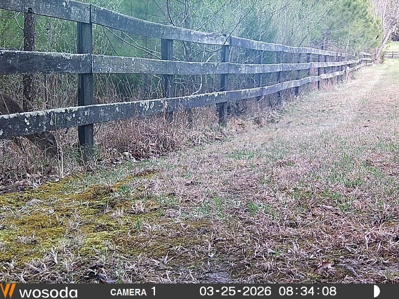 WOSODA 2 Pack Trail Cameras with Night Vision Motion Activated Waterproof, 48MP Hunting Game Camera, 1080P HD Trail Cam for Wildlife Monitoring, Outdoor Scouting & Security (Non-Cellular Non-WiFi) customer photo 2