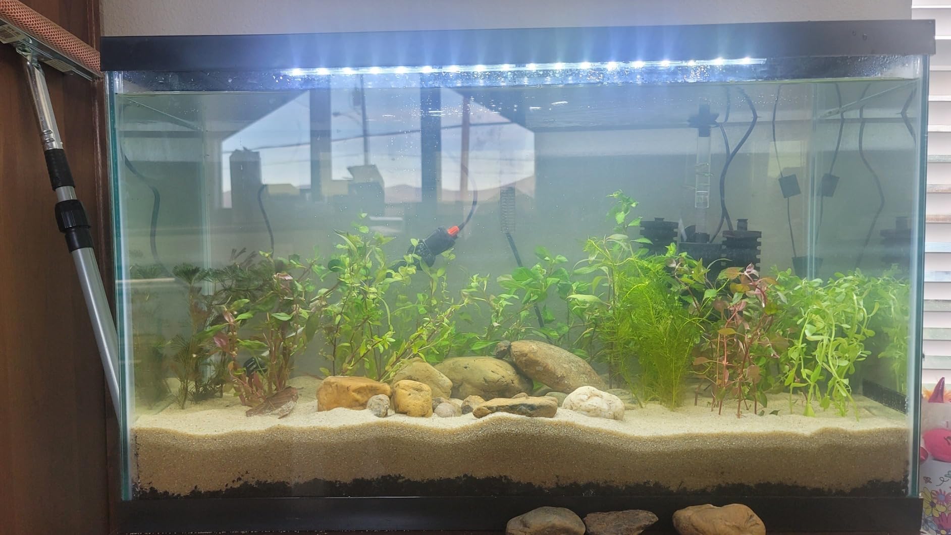 Tetra LED 55 Gallon Complete Fish Tank Kit for Freshwater Fish customer photo 1