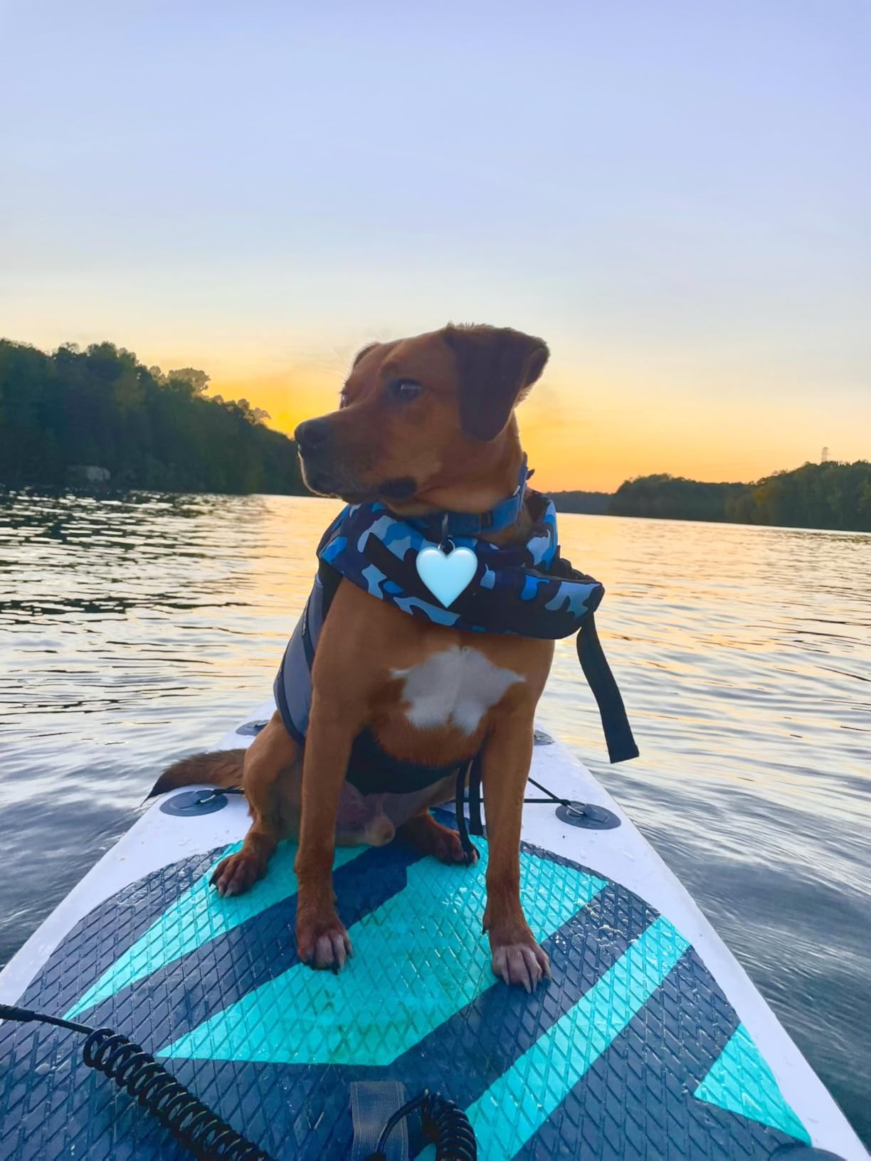 Aqua Plus 6inches Thick Inflatable SUP for All Skill Levels Stand Up Paddle Board,Paddle,Pump,ISUP Travel Backpack, Leash,Shoulder Strap,Youth,Adult Inflatable Paddle Board customer photo 1
