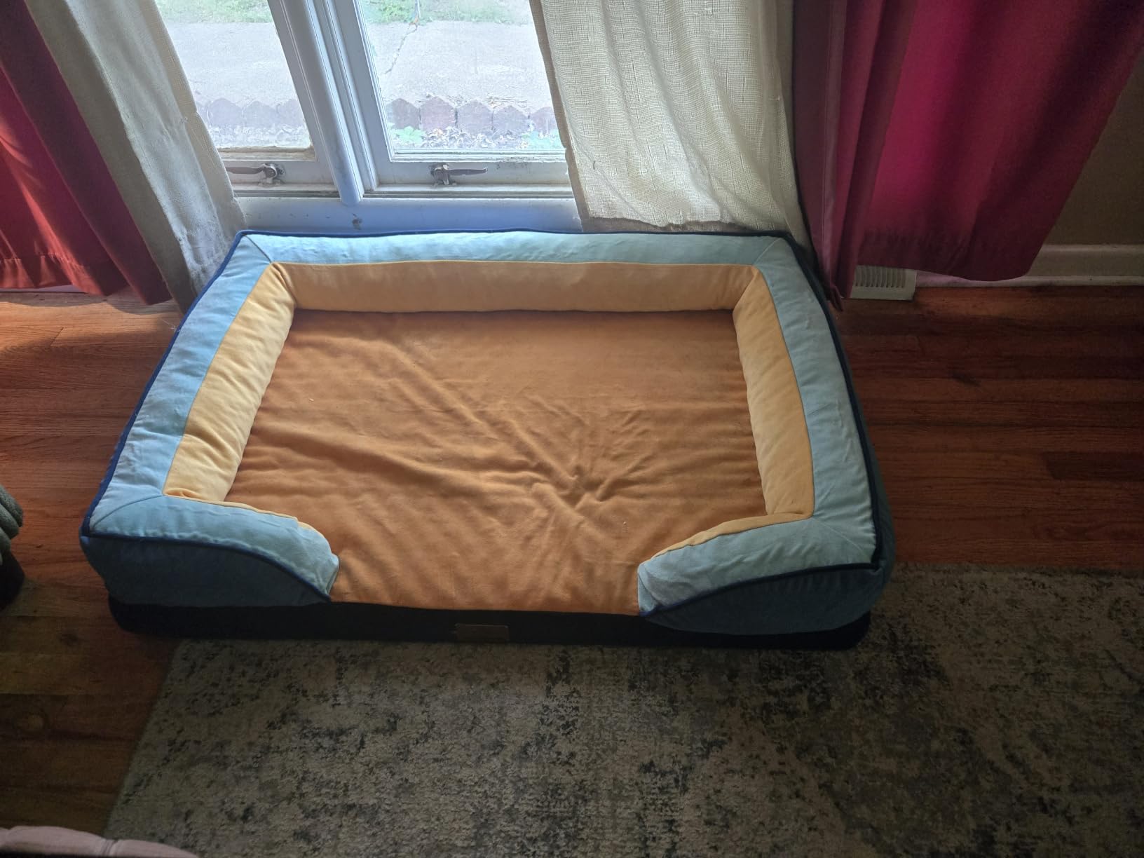 Comfort Expression Waterproof Orthopedic Dog Bed for Extra Large Dogs | Supportive Egg Crate Foam XL Pet Bed with Removable Bolster, Dog Couch with Washable Cover & Non-Slip Bottom, 42x30 Inch customer photo 1