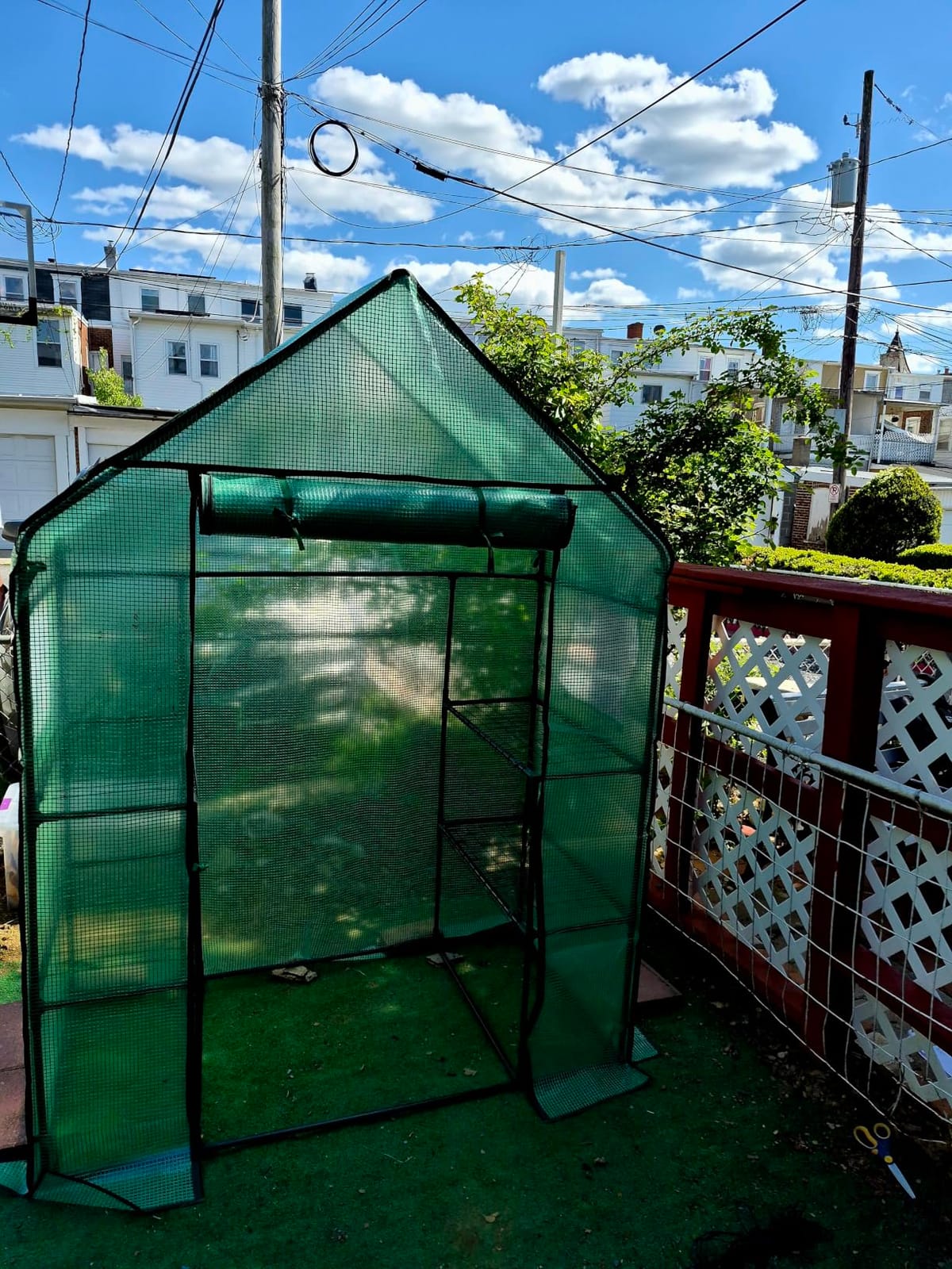 Greenhouse for Outdoors with Screen Windows, Ohuhu Upgraded 4 Tiers 11 Shelves Walk-in Greenhouses with Durable PE Cover, Outside Garden Plastic Green House with Ground Pegs & Ropes for Stability customer photo 2