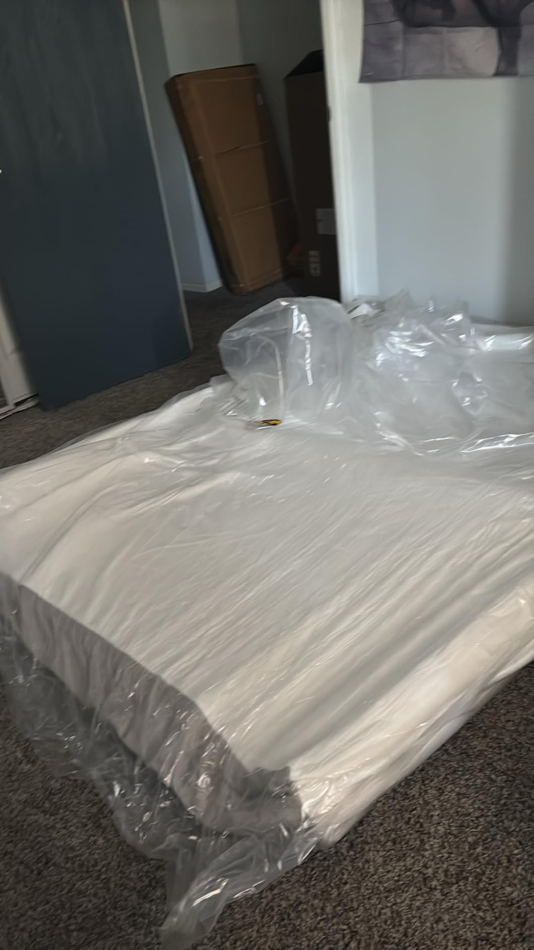 Amazon Basics Memory Foam Mattress, Soft Plush Feel, Breathable, 12 Inch, Queen, White/Grey customer photo 1