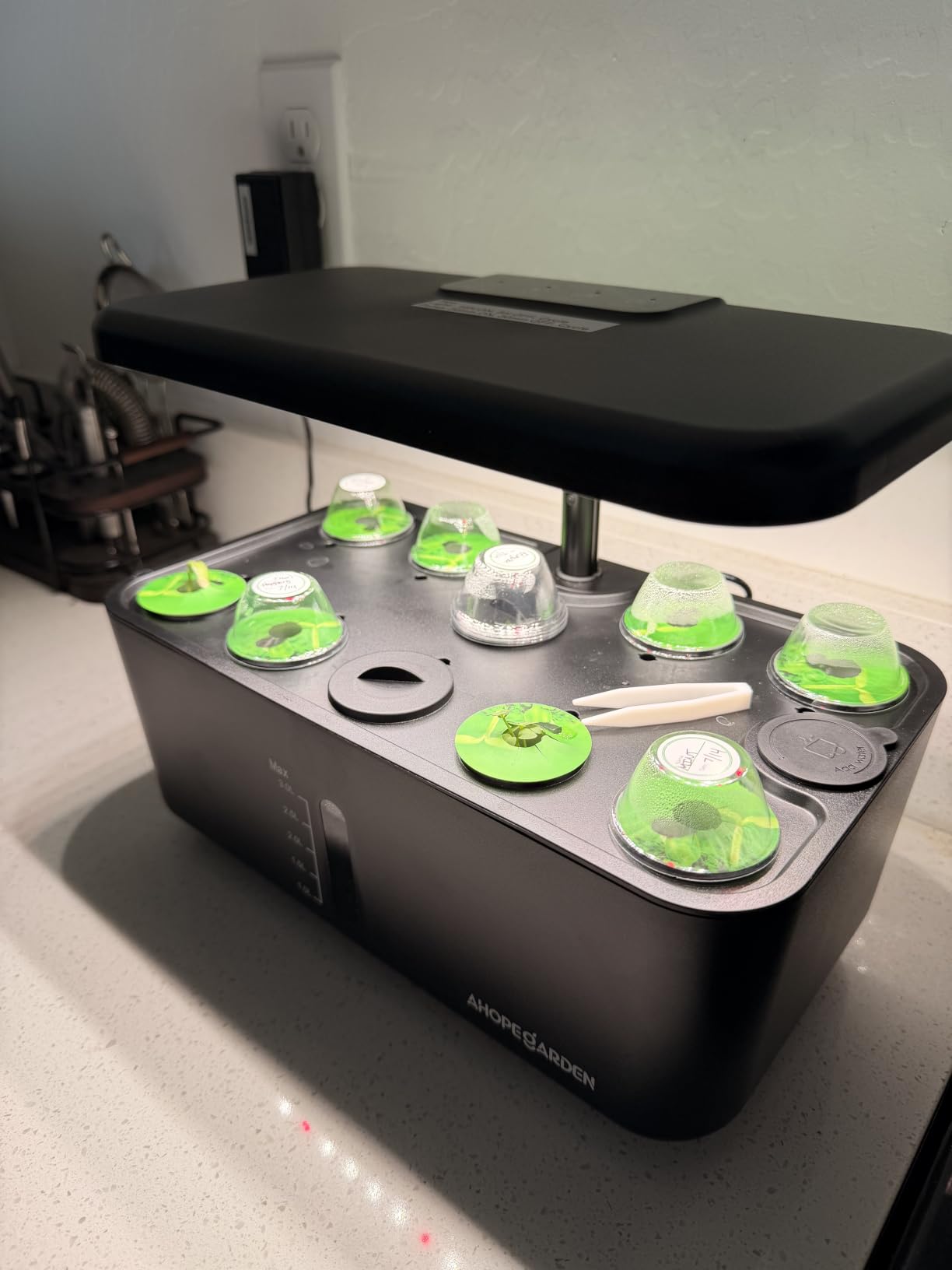 Ahopegarden Indoor Garden Hydroponics Growing System: 10 Pods Kit with LED Grow Light, Plant Germination Kit Herb Vegetable Growth Lamp Countertop, Hydroponic Planter Grower Harvest Lettuce for Healthy Home Cooks customer photo 1