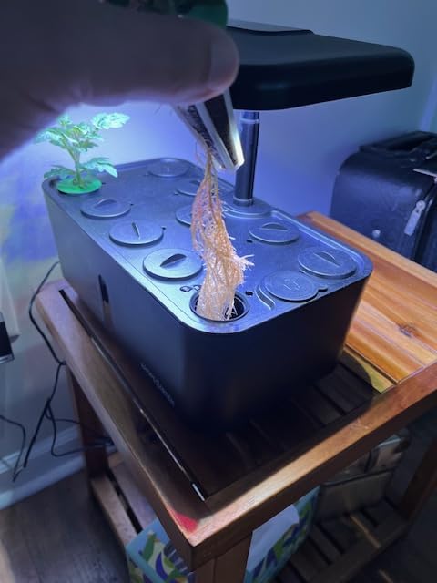Ahopegarden Indoor Garden Hydroponics Growing System: 10 Pods Kit with LED Grow Light, Plant Germination Kit Herb Vegetable Growth Lamp Countertop, Hydroponic Planter Grower Harvest Lettuce for Healthy Home Cooks customer photo 2