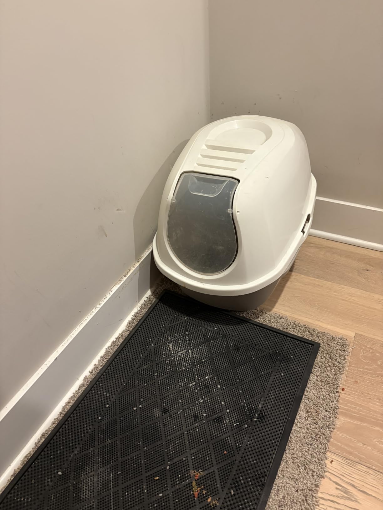 Litter-Robot 4 by Whisker - Self-Cleaning Litter Box customer photo 1