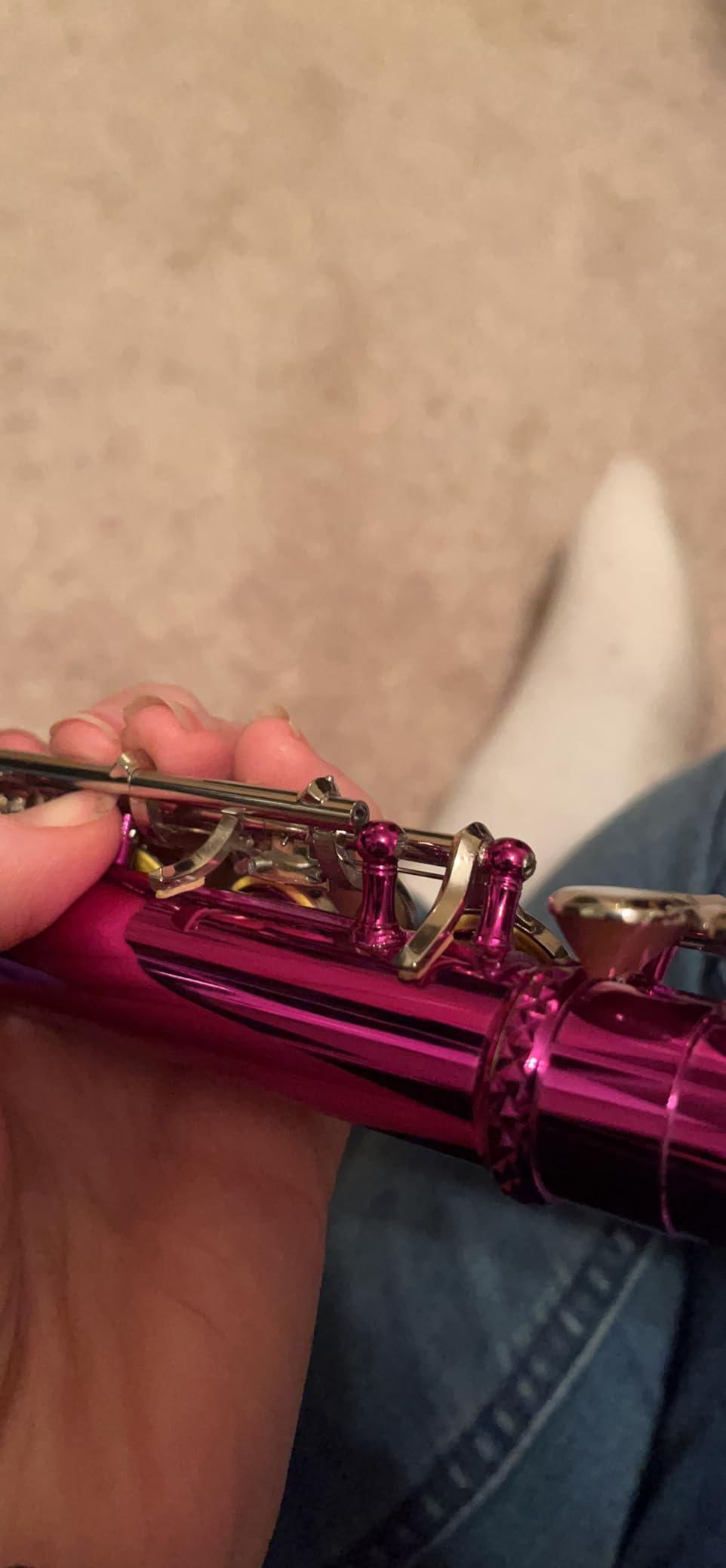 Rhythm C Flutes with Engraved Flower Closed Hole 16 Keys Flute For Student, Beginner with Stand, Carrying Case, Gloves, Joint Grease, Tuning Rod, Nickel customer photo 1
