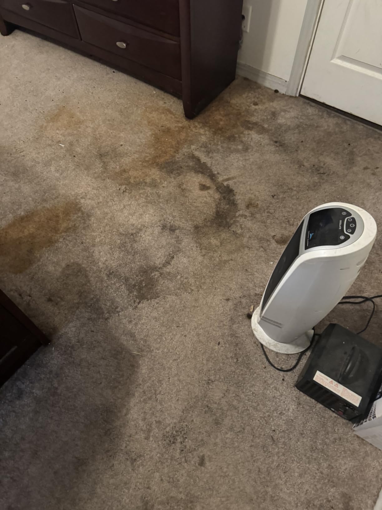 BISSELL ProHeat 2X Revolution Pet Pro Plus Carpet Cleaner, 3588F customer photo 1