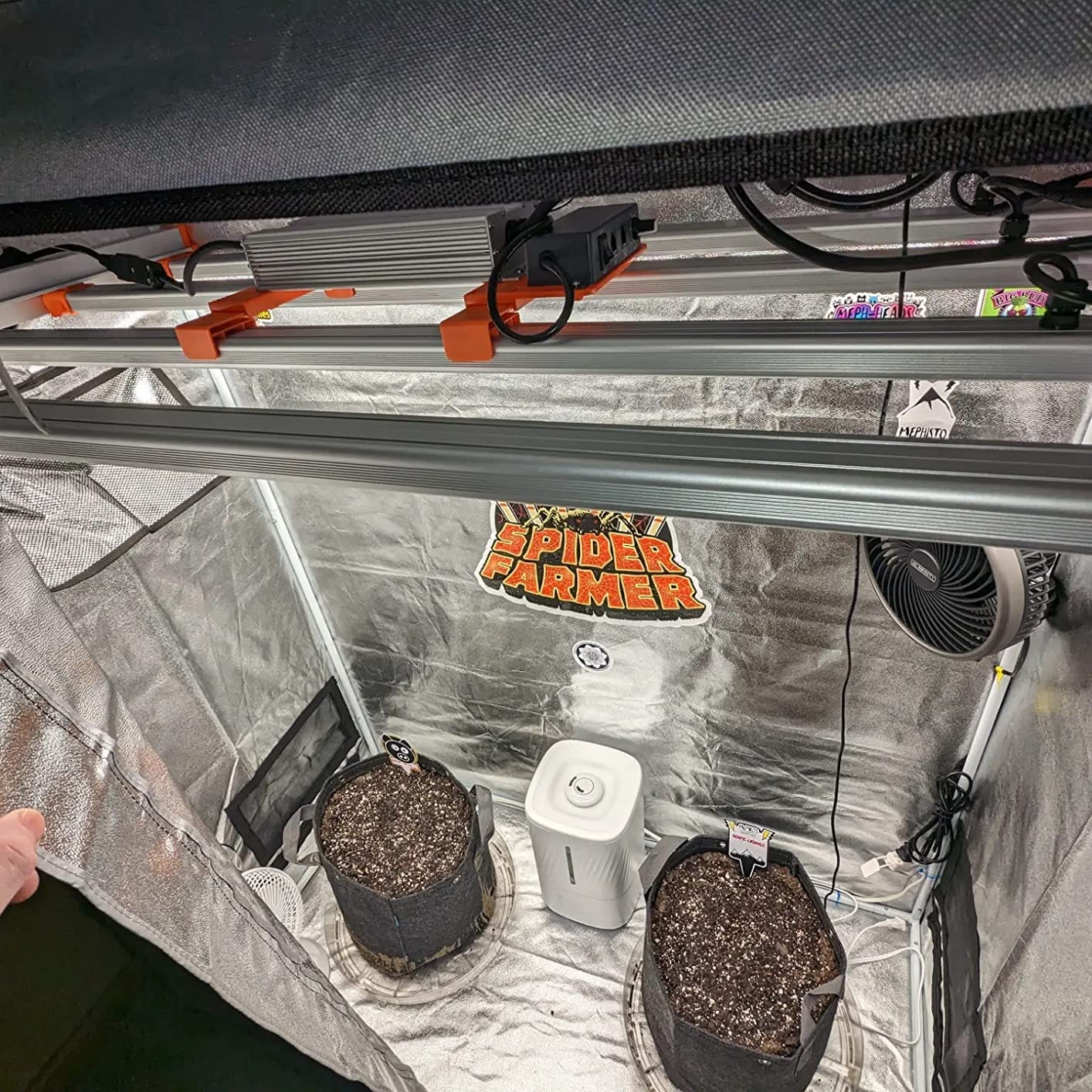 Spider Farmer G4500 LED Grow Light 320W for 2x4 Grow Tents, App-Controlled | Cost-Effective Bar-Style Dimmable Grow Lamp with Osram Hyper Red, Full Spectrum for Indoor Plants Seedling Veg Flowering customer photo 1
