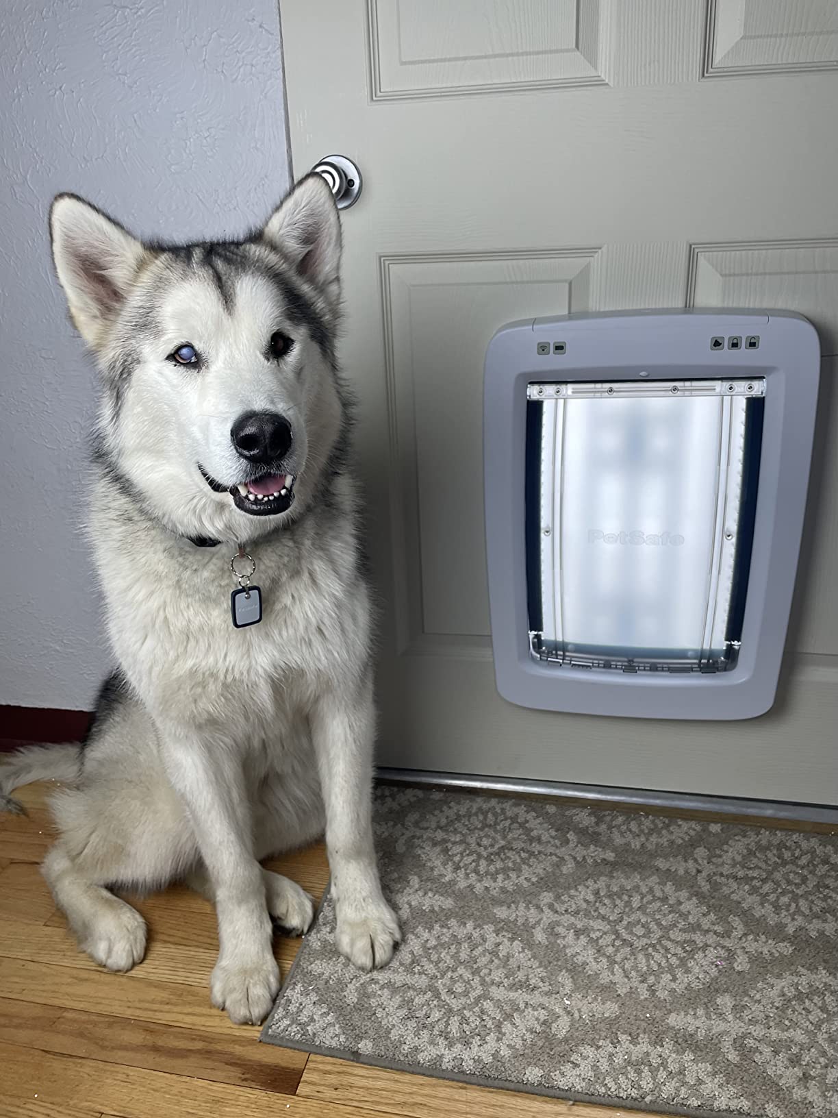 PetSafe SmartDoor Connected Pet Door, App Controlled, Medium - Selective Entry/Exit, Custom Schedules, Remote Lock & Phone Notifications customer photo 1