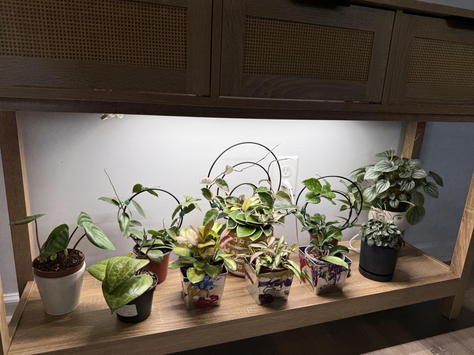 Barrina T5 Grow Lights for Indoor Plants, 5000K Full Spectrum, 1FT, 4 Packs | 1FT LED Growing Lamp, Plant Light Strip for Seed Starting, Vegetables and Greens, Plug and Play, Linkable customer photo 2