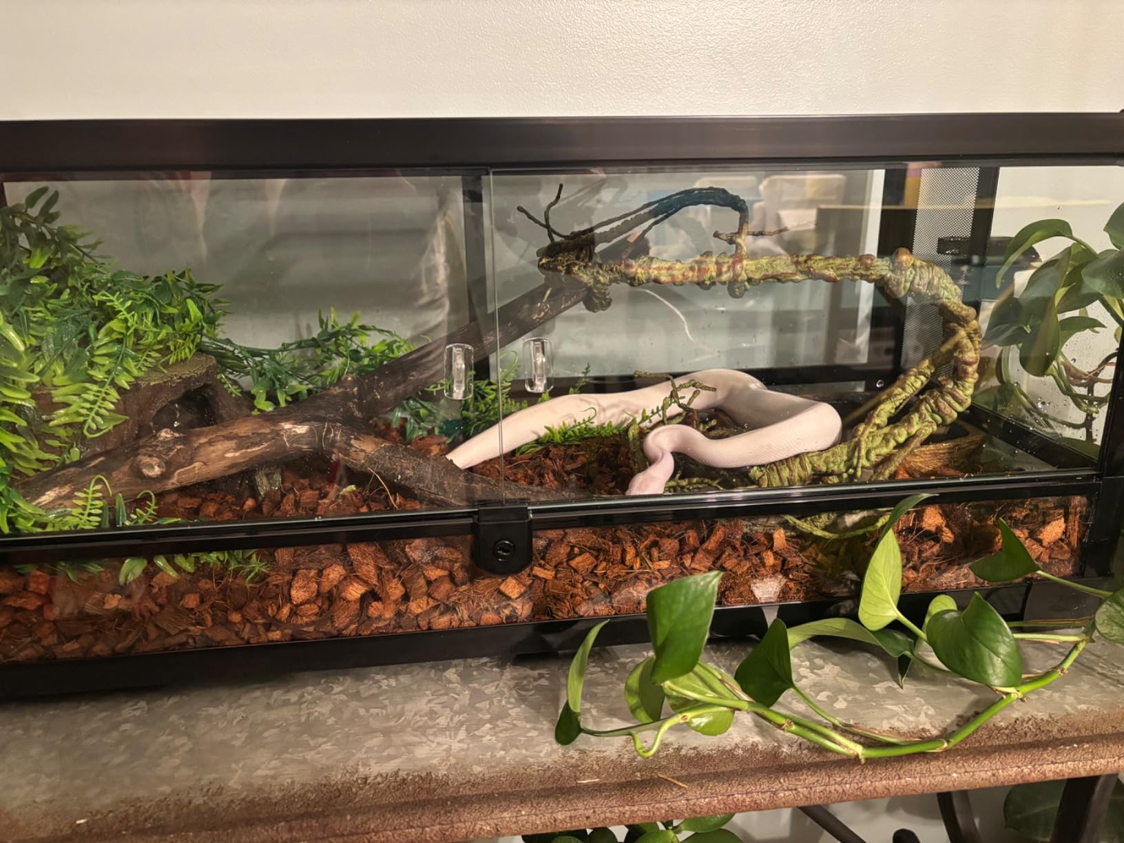 Zilla QuickBuild 65 Gallon Glass Terrarium, 48