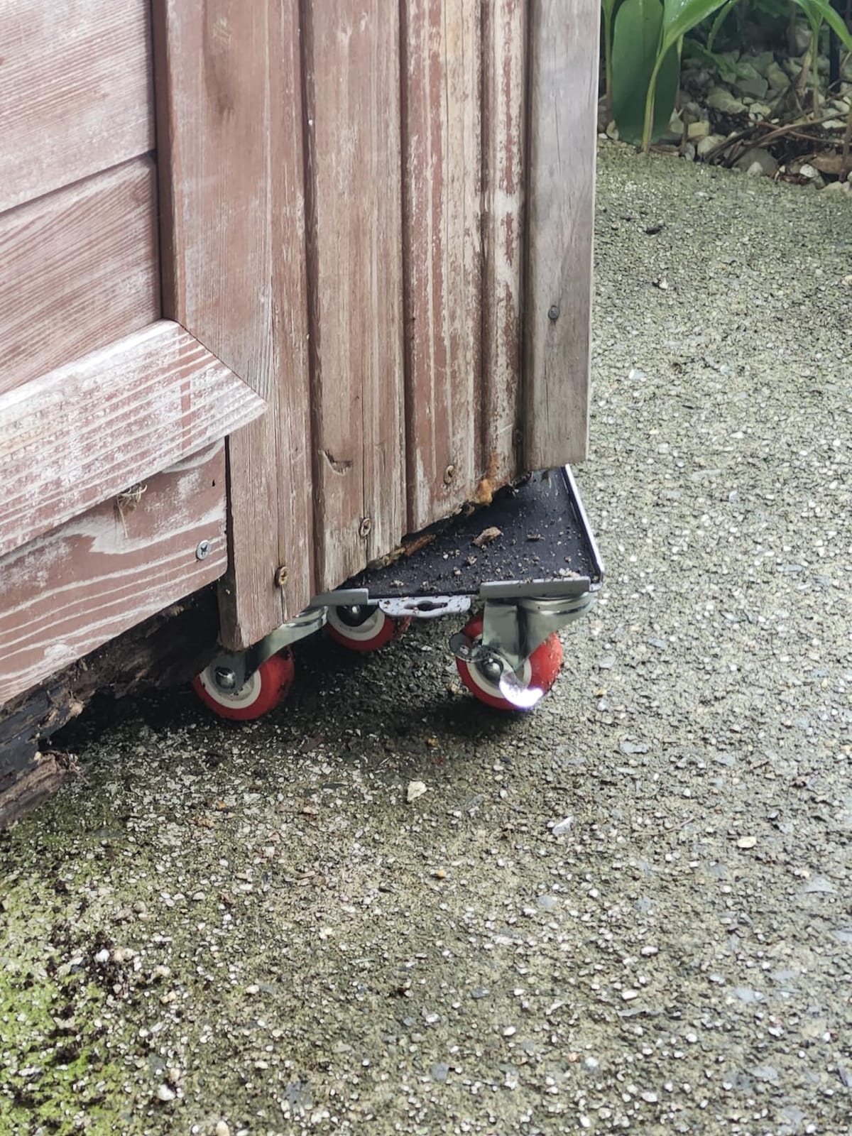 MYUEA Furniture Dolly, Furniture Movers with 5 Wheels, Carbon Steel Panel Heavy Duty Dolly, Maximum Load 3474LBS, Furniture Lifter with 5 360 Rotatable Rubber Universal Wheels (Black, 6.89x6.9 in) customer photo 1