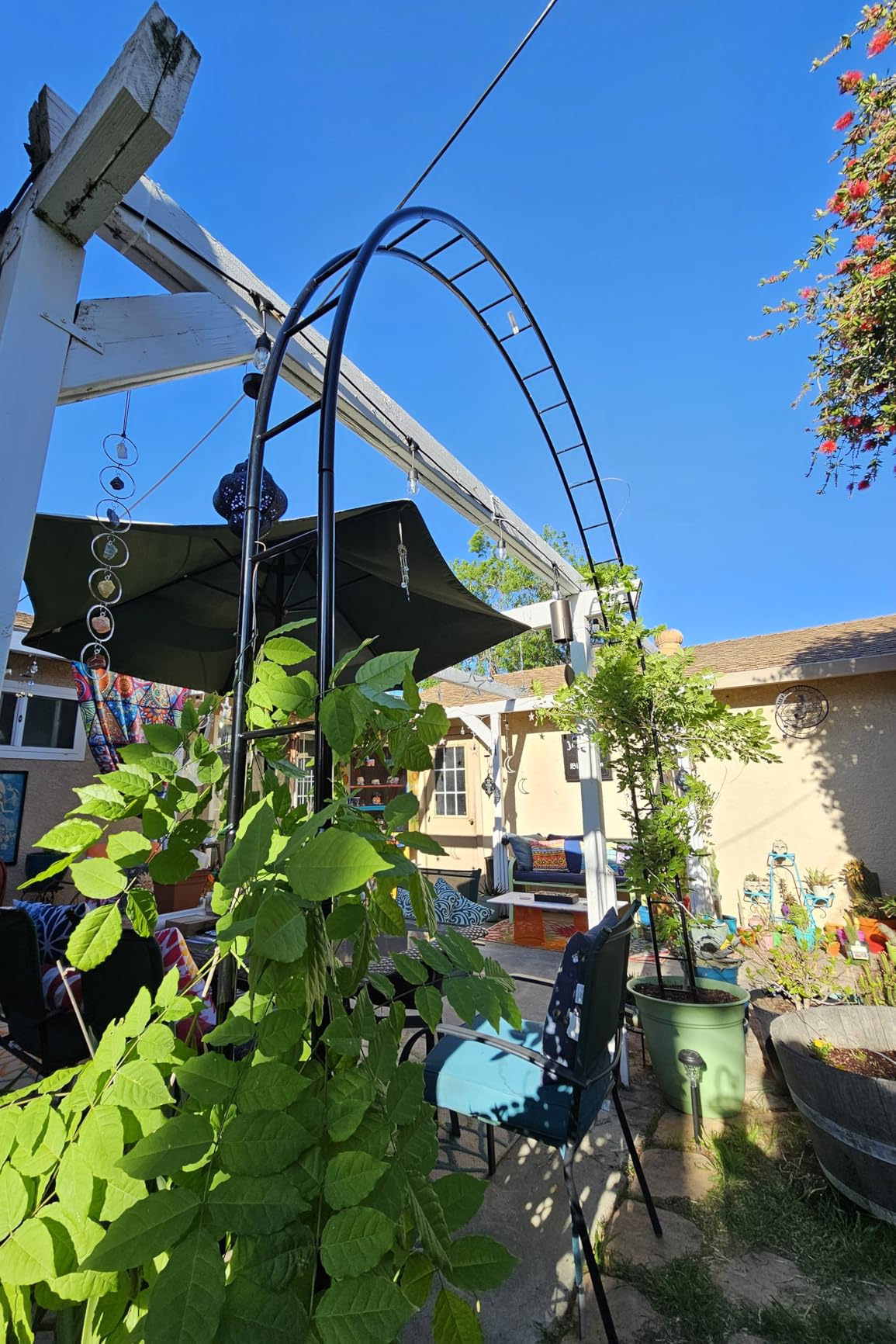 Queension Extra Large Garden Arch 7.2Ft Wide 9.2Ft High, Black | Wedding Arch for Ceremony, Outdoor Garden Trellis for Climbing Plant, Metal Balloon Arches Backdrop Stand with Prongs Base customer photo 1
